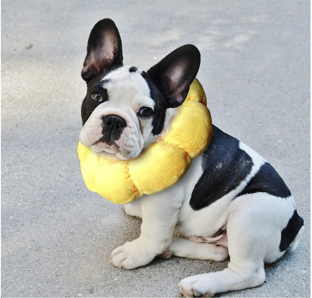 Screenshot 2026-04-02 at 7.10.43 PM.png