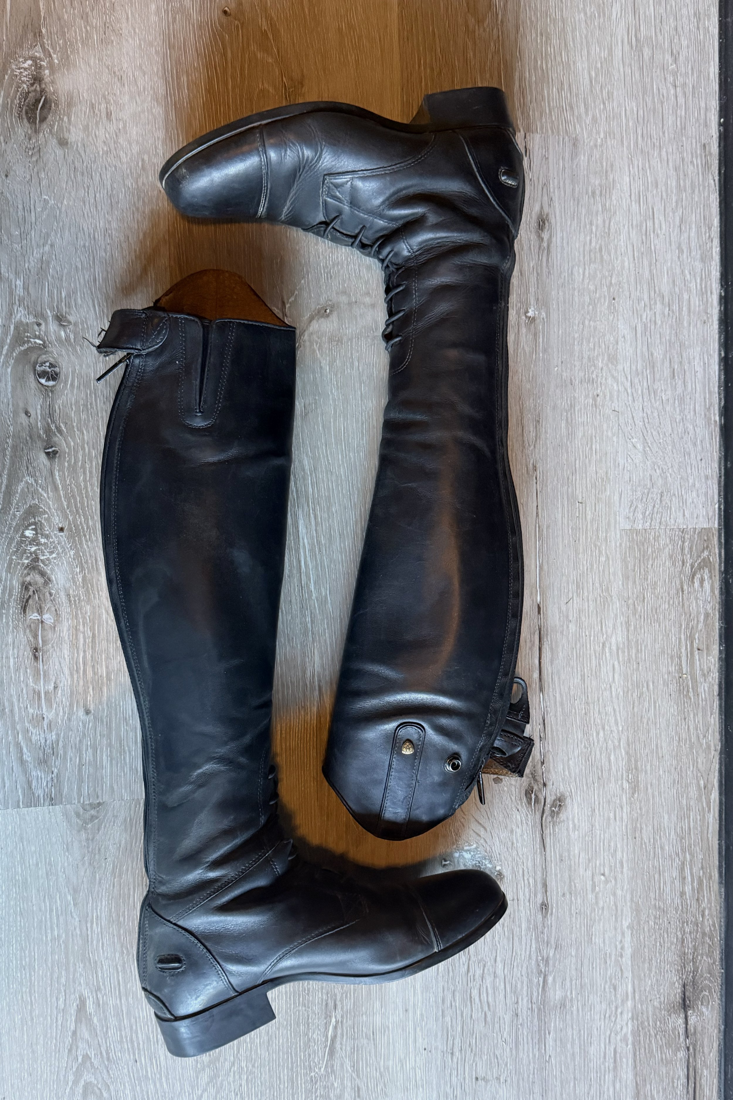 ariat 4.jpg