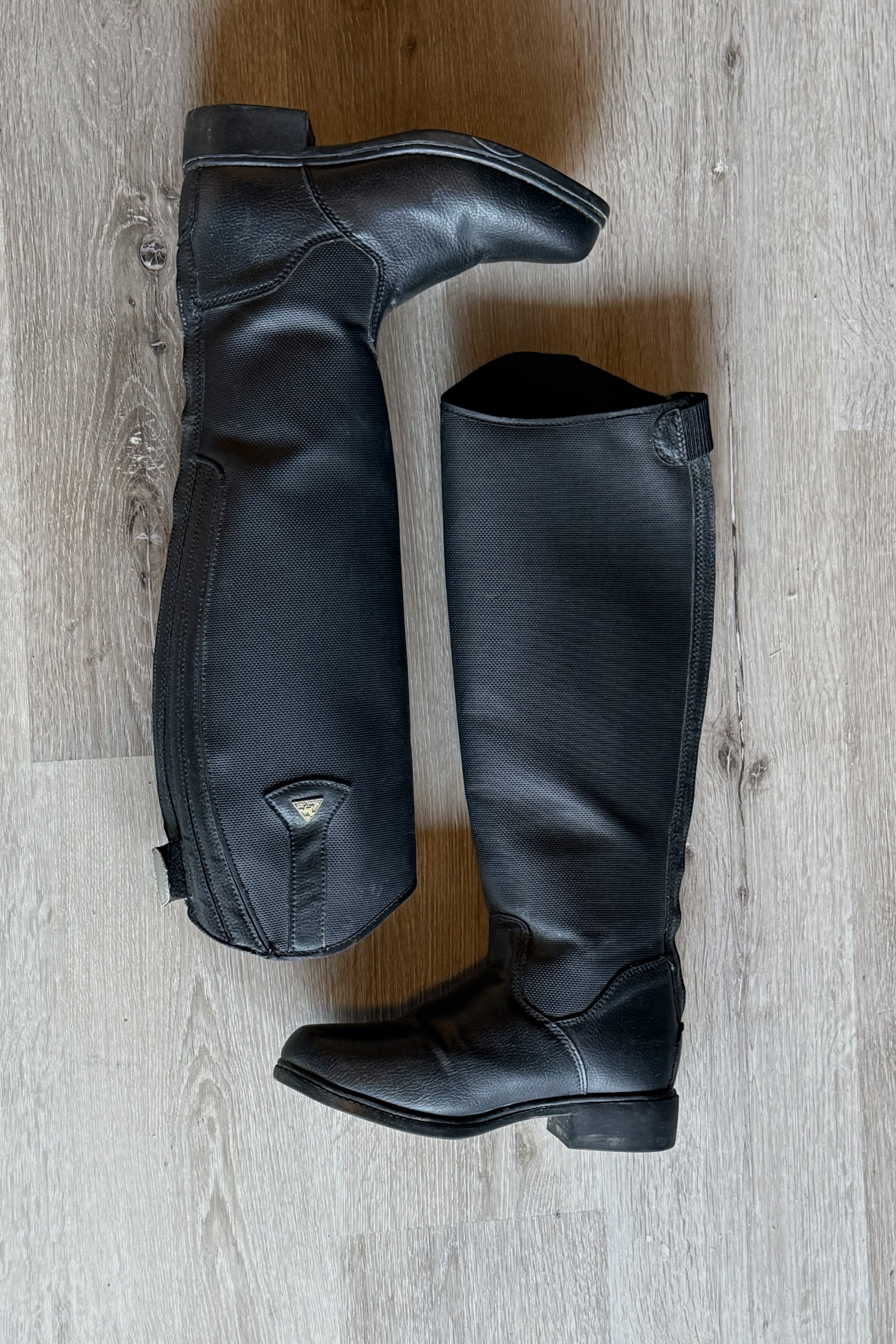 mountain horse 2 .jpg