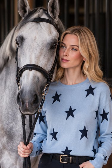 J Society Star Crew Neck Sweater In Blue
