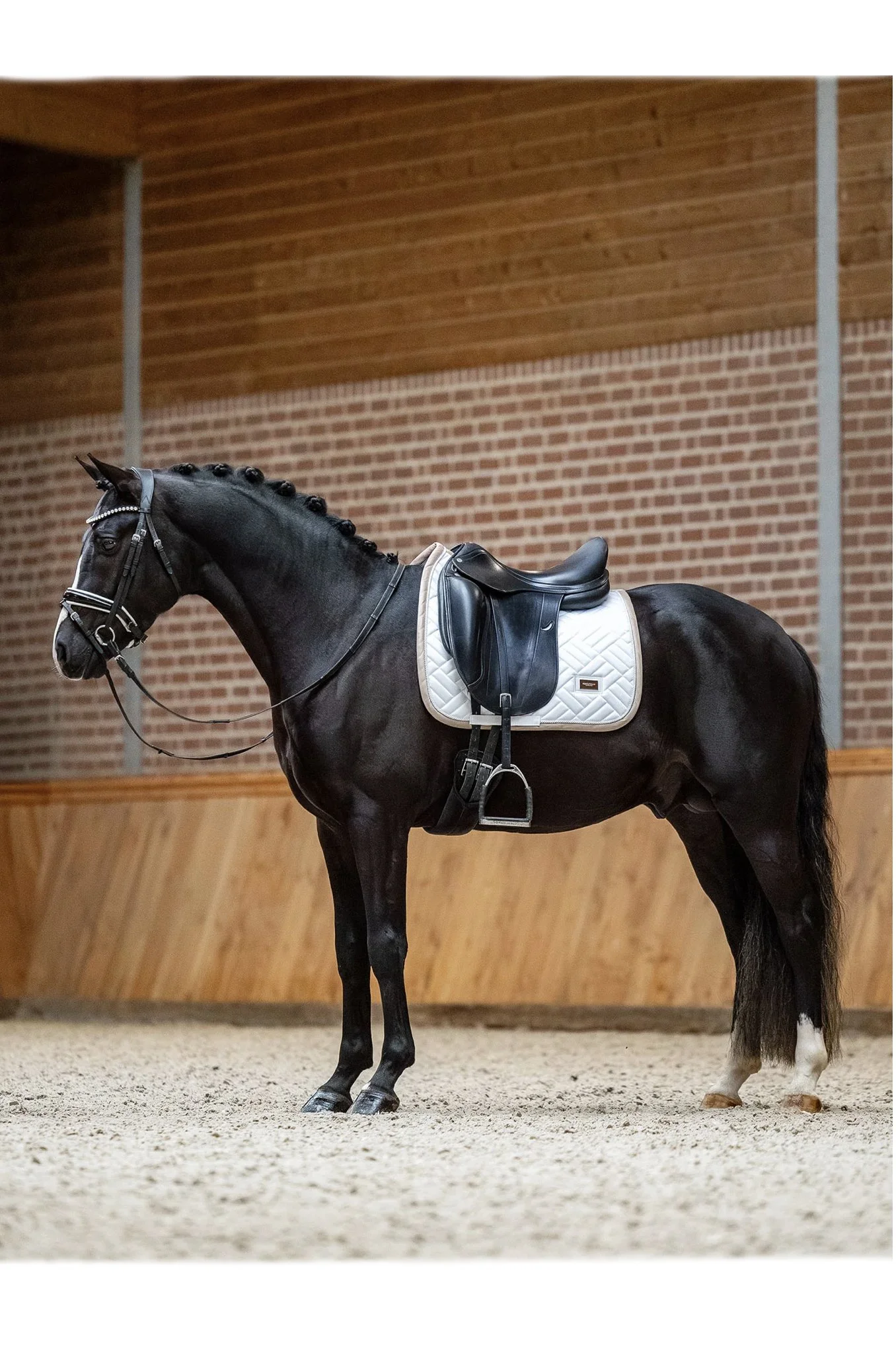 dressage white sand 1.jpg