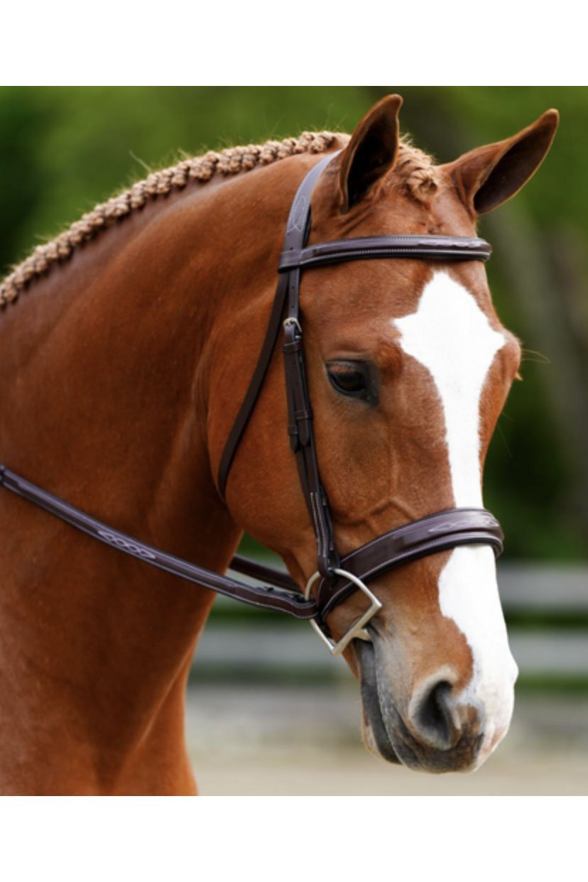 KL Select Black Oak Tupelo Hunter Bridle with Laced Reins - 2nd Round Equestrian