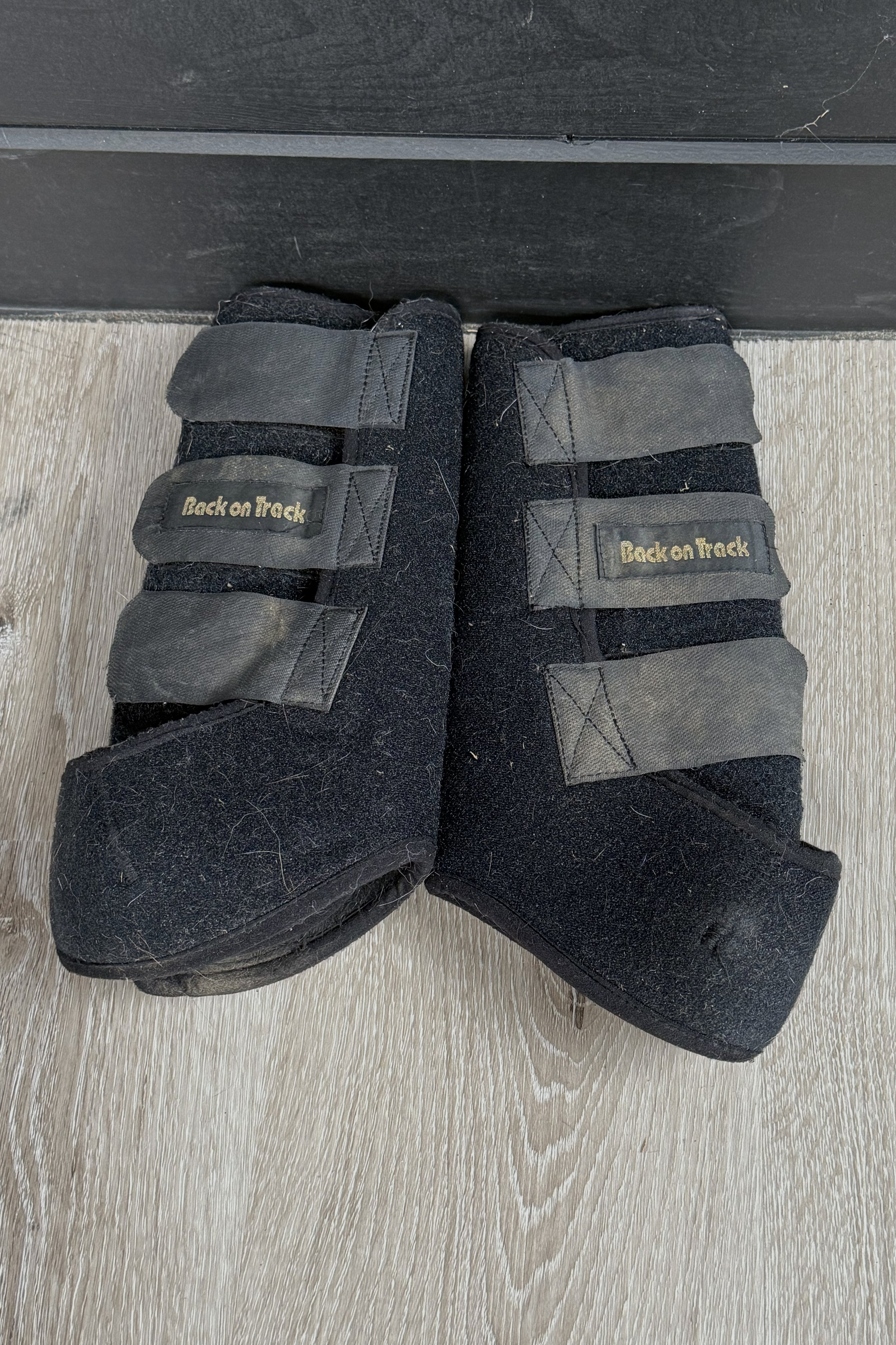 back on track 2 .jpg