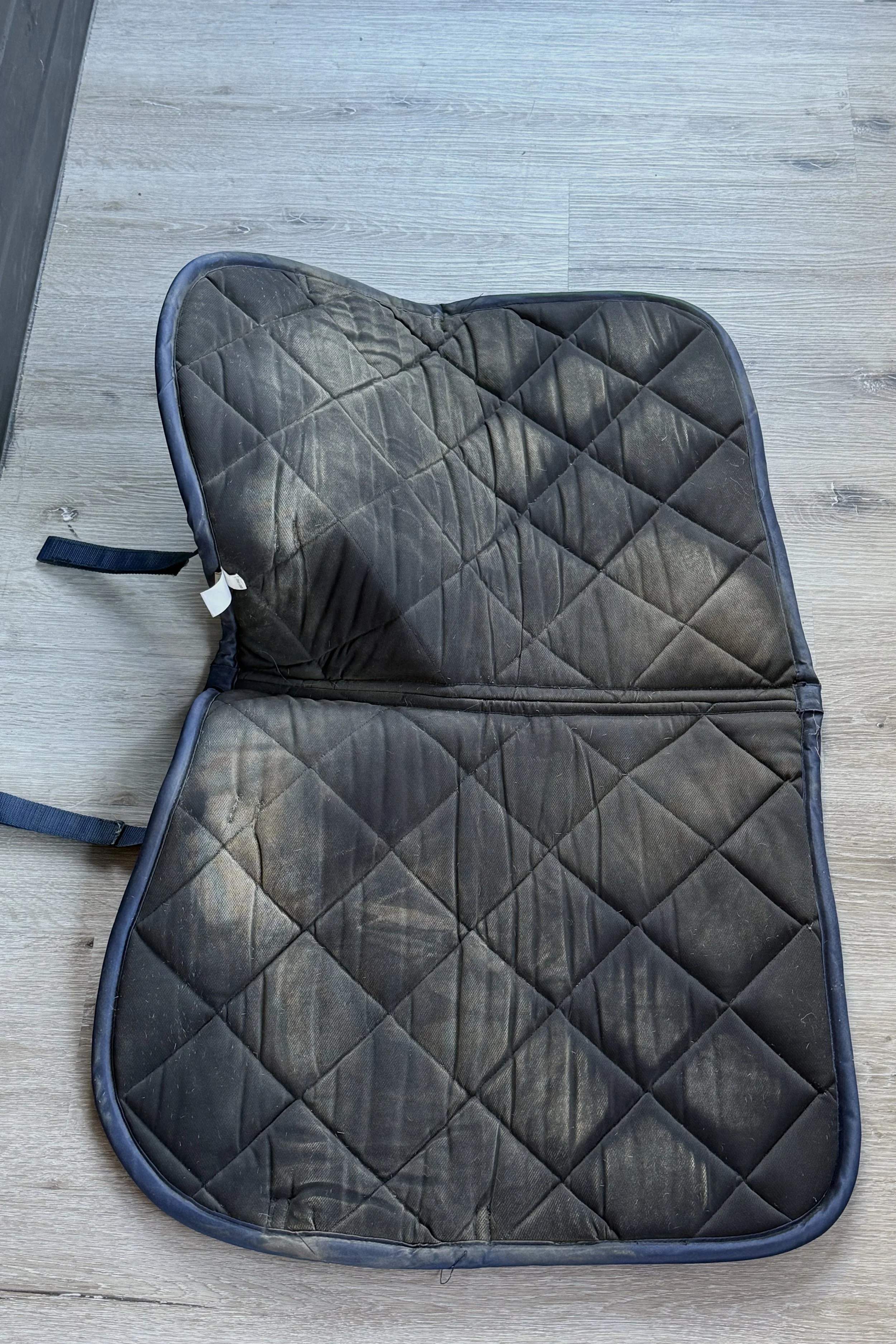 Saddle Pad 2 .jpg