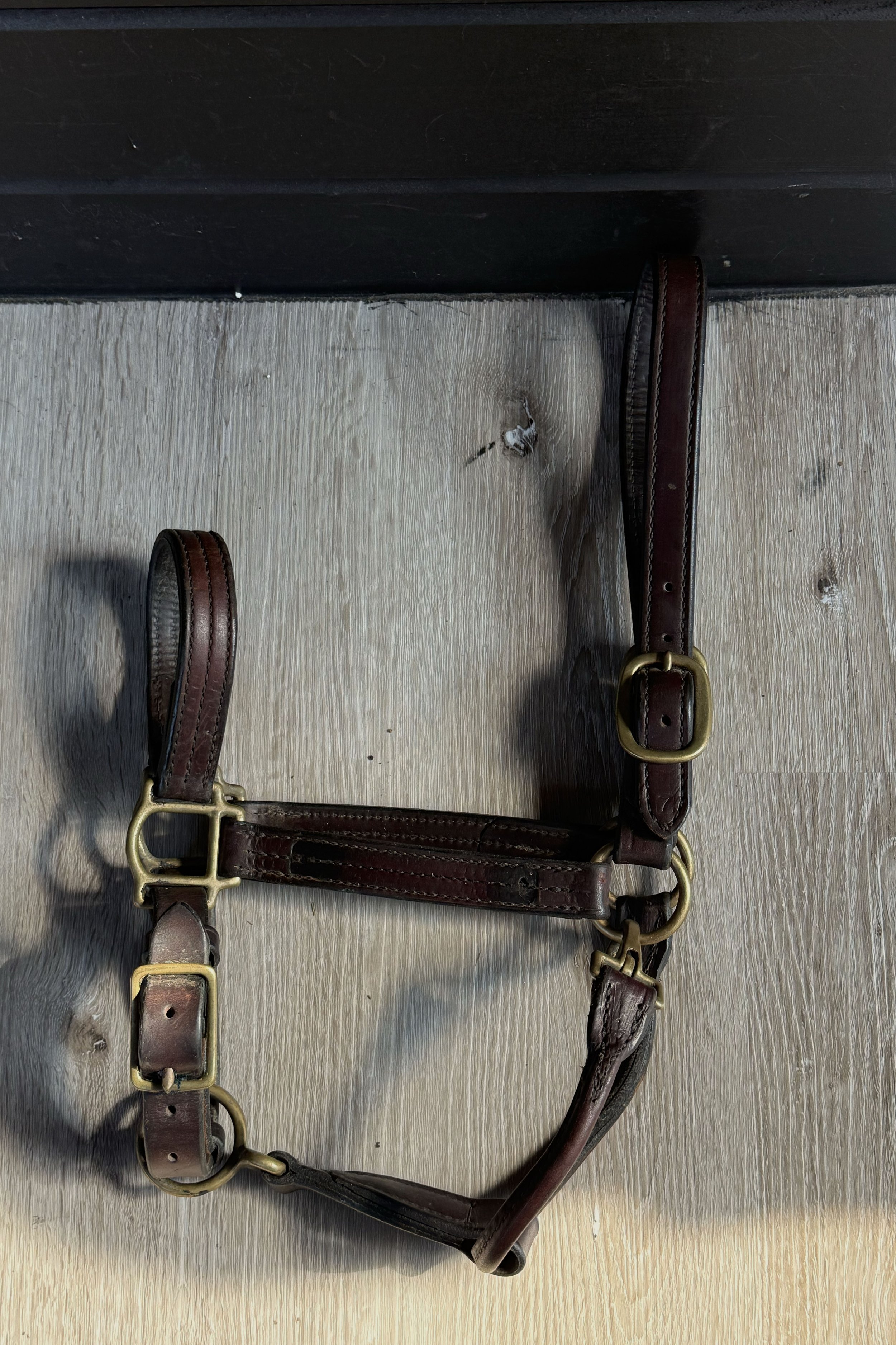 Leather Halter In Brown - Full