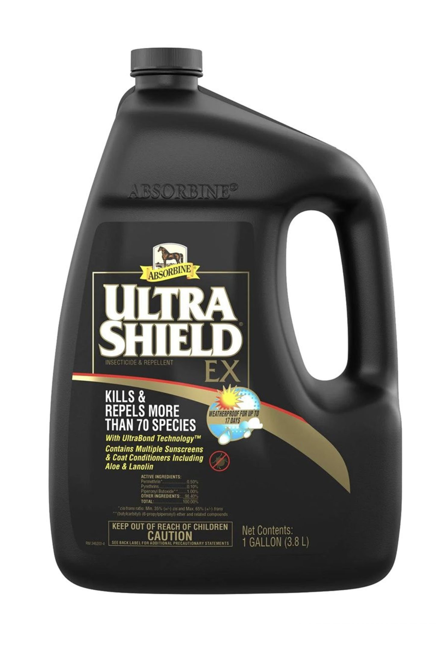 gallon.jpg