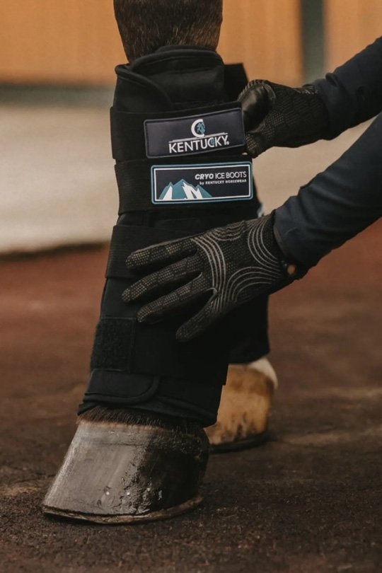 Kentucky Horsewear Cryo Ice Boots In Black - Full - 2nd Round Equestrian