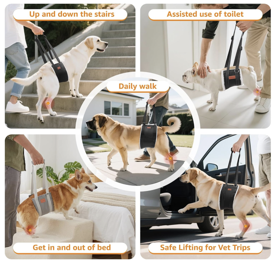 Screenshot 2026-04-01 at 8.40.39 PM.png (Copy)