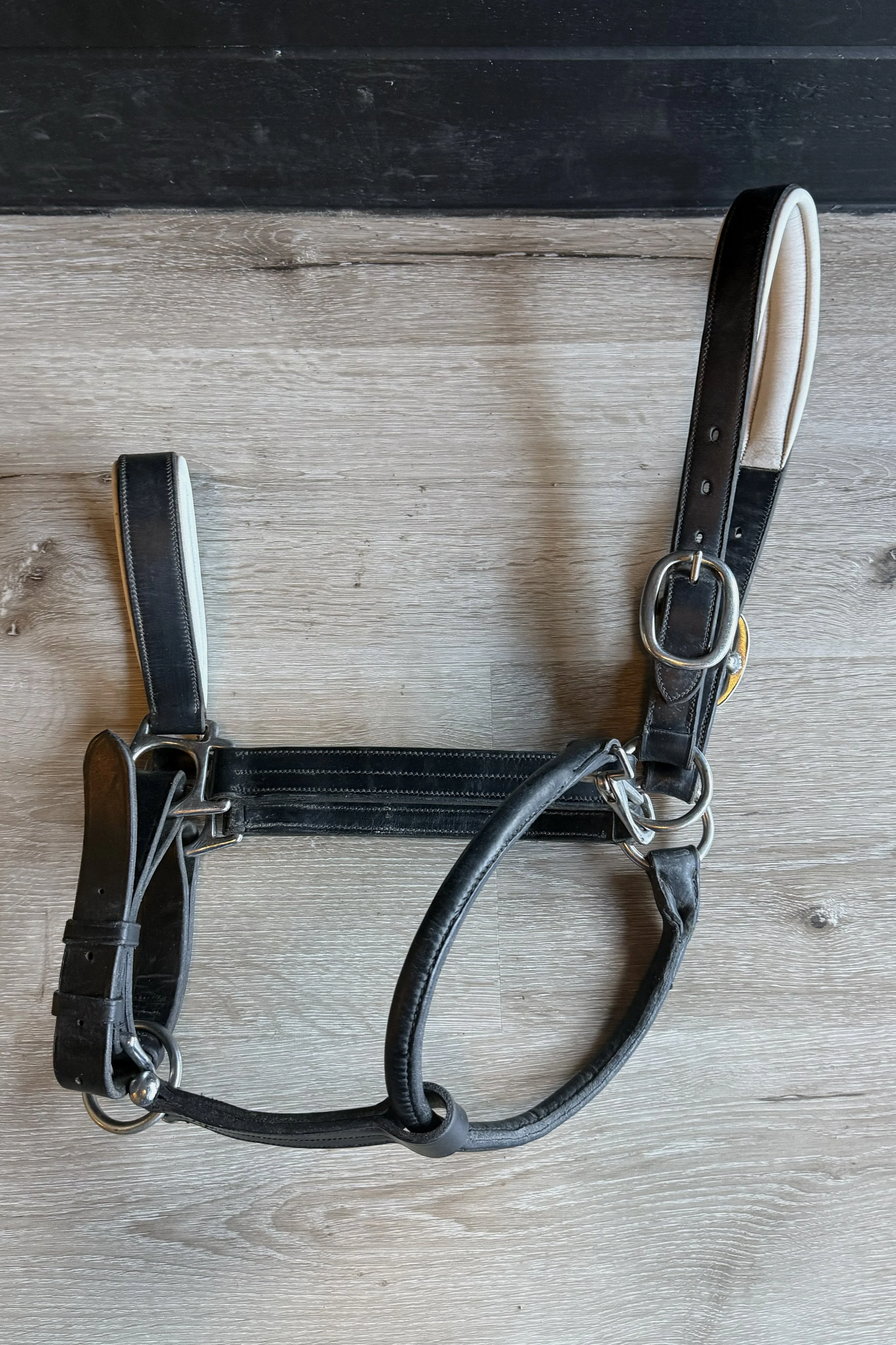 Joseph Sterling Aachen Dressage Halter In Black & White - Thoroughbred