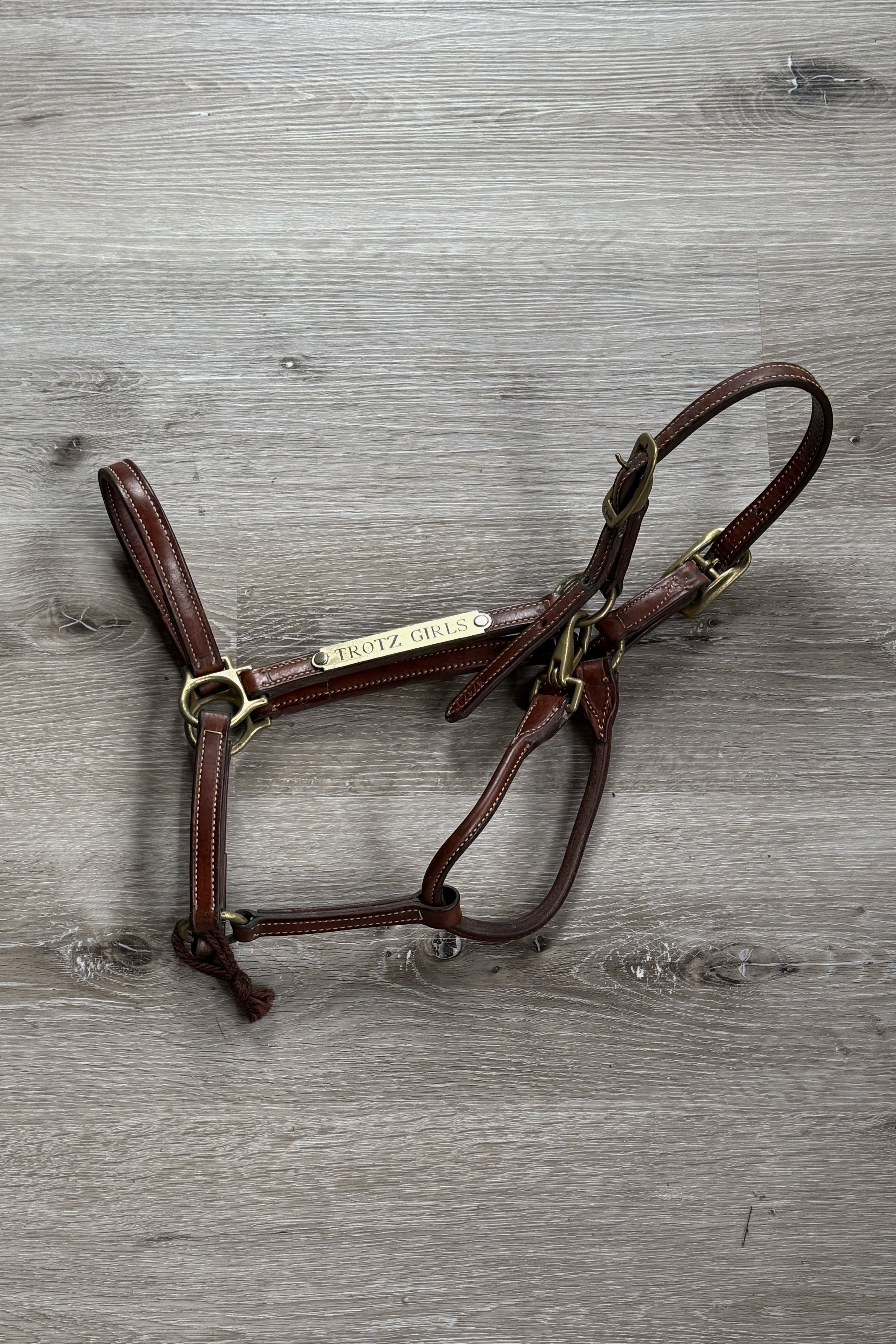 Walsh Leather Halter In Brown - Full