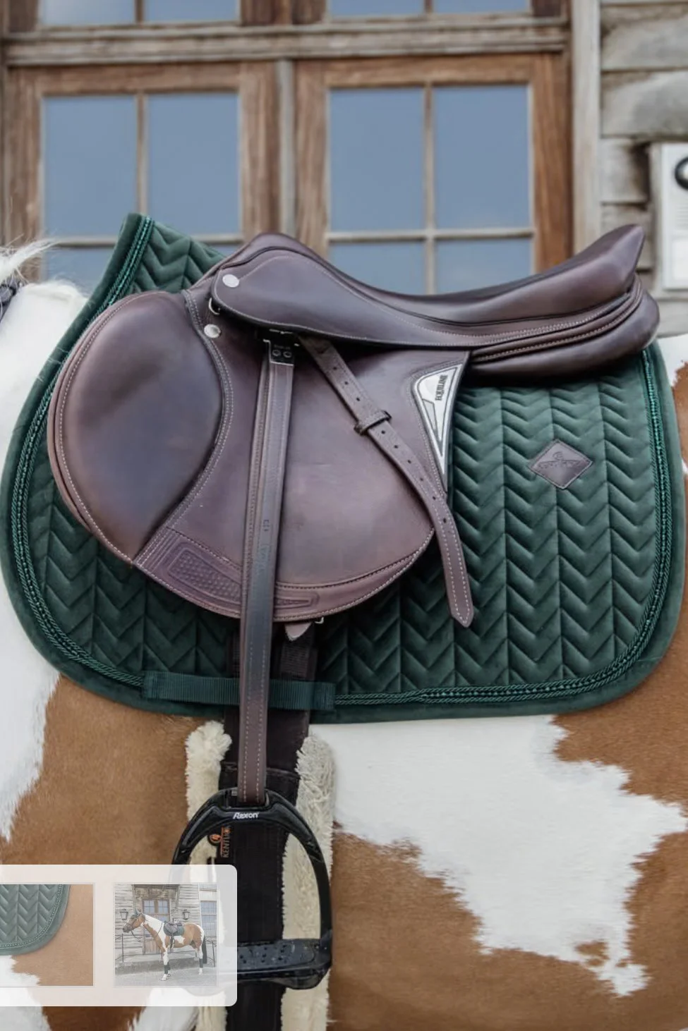 Kentucky Horsewear Saddle Pad Velvet Pearls Jumping In Pine Green