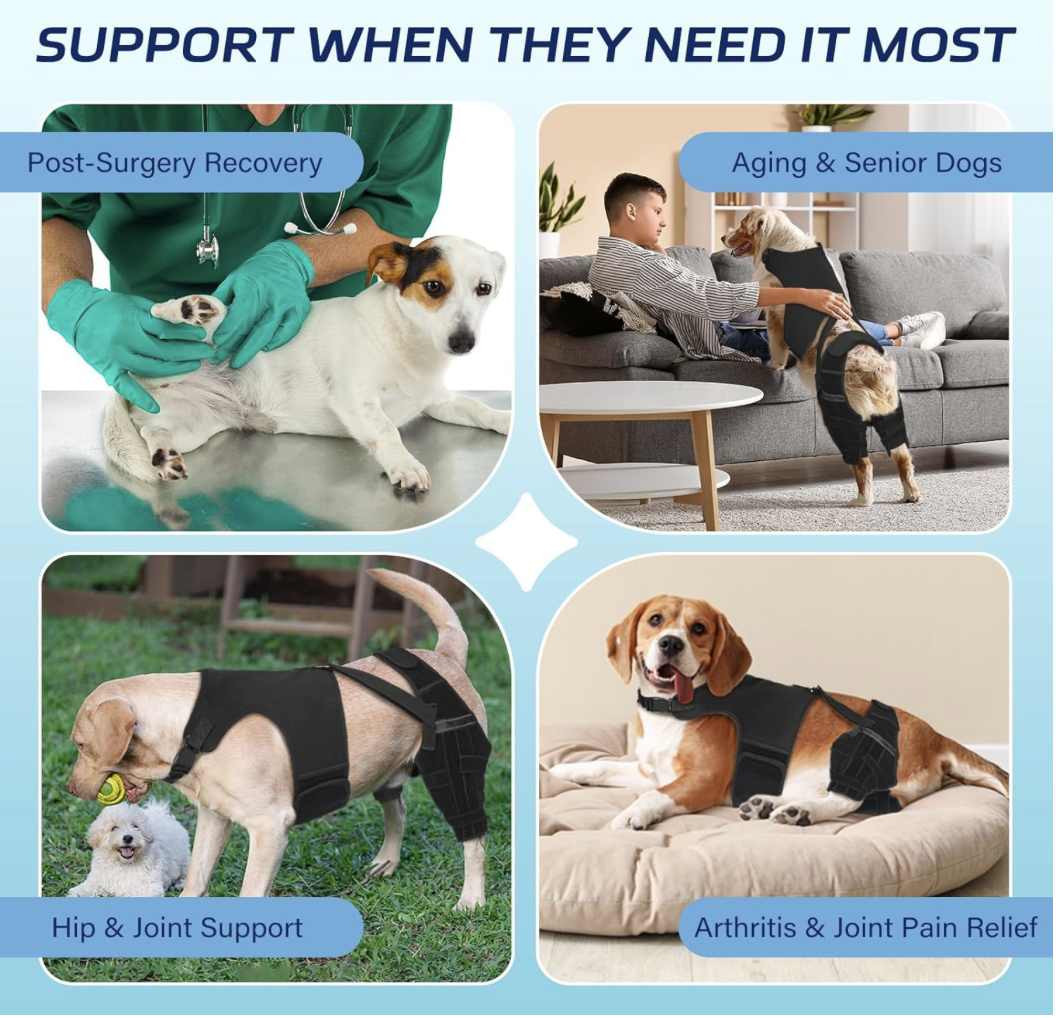 Screenshot 2026-04-02 at 7.29.44 PM.png