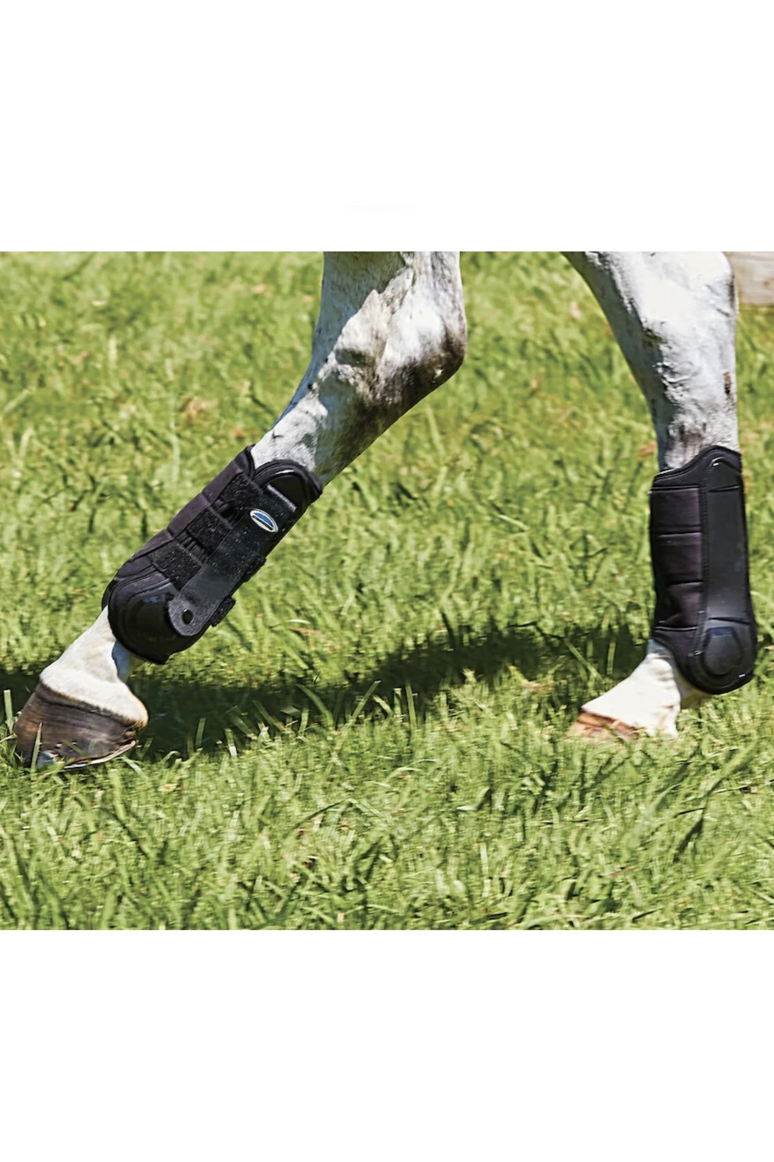 Weatherbeeta Flexi Shell Hind Cross Country Boots In Black - Full