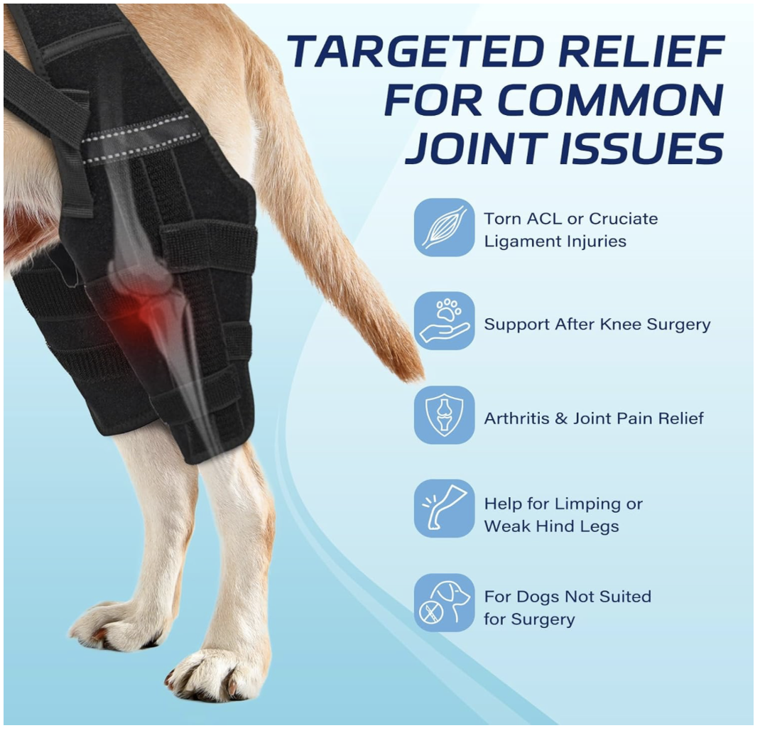 Screenshot 2026-04-02 at 7.27.22 PM.png