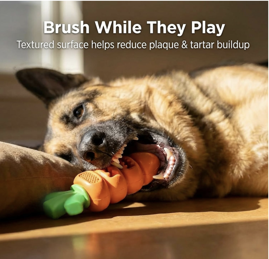 Screenshot 2026-04-02 at 8.01.55 PM.png