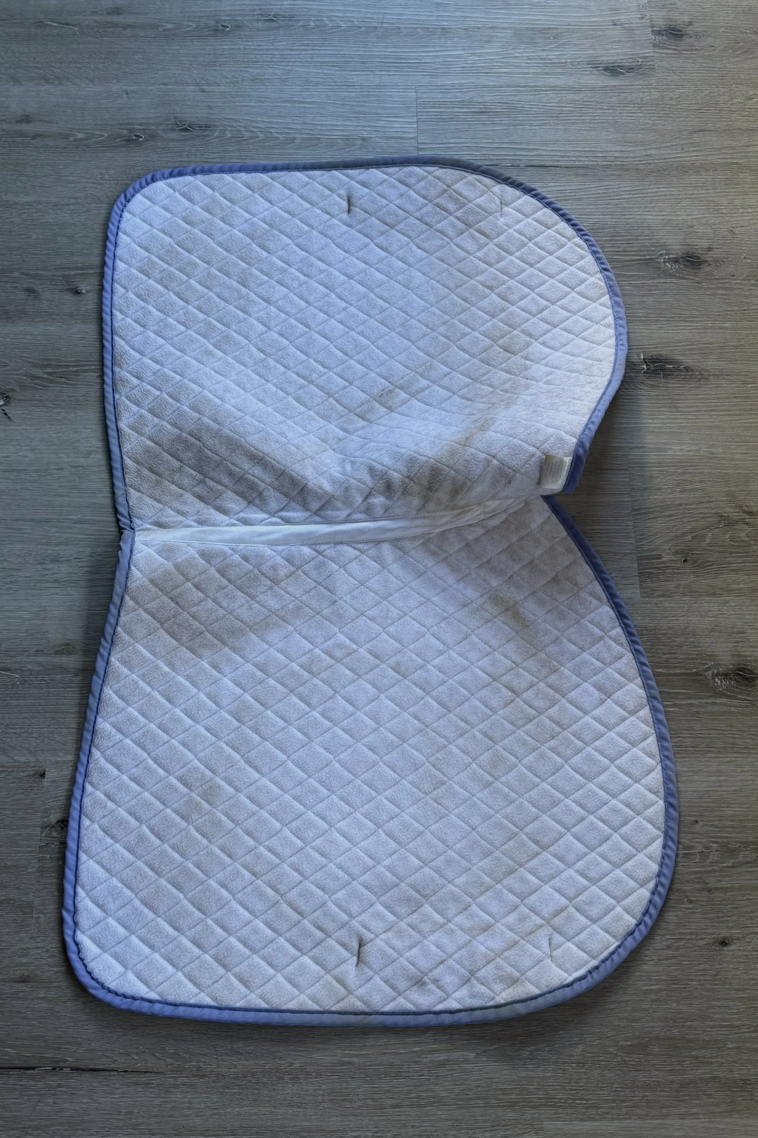 tuff rider purple 2 .jpg