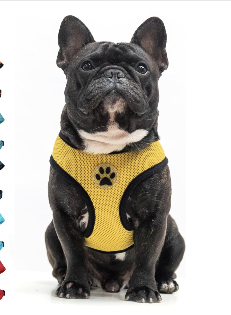 Screenshot 2026-04-01 at 9.28.50 PM.png