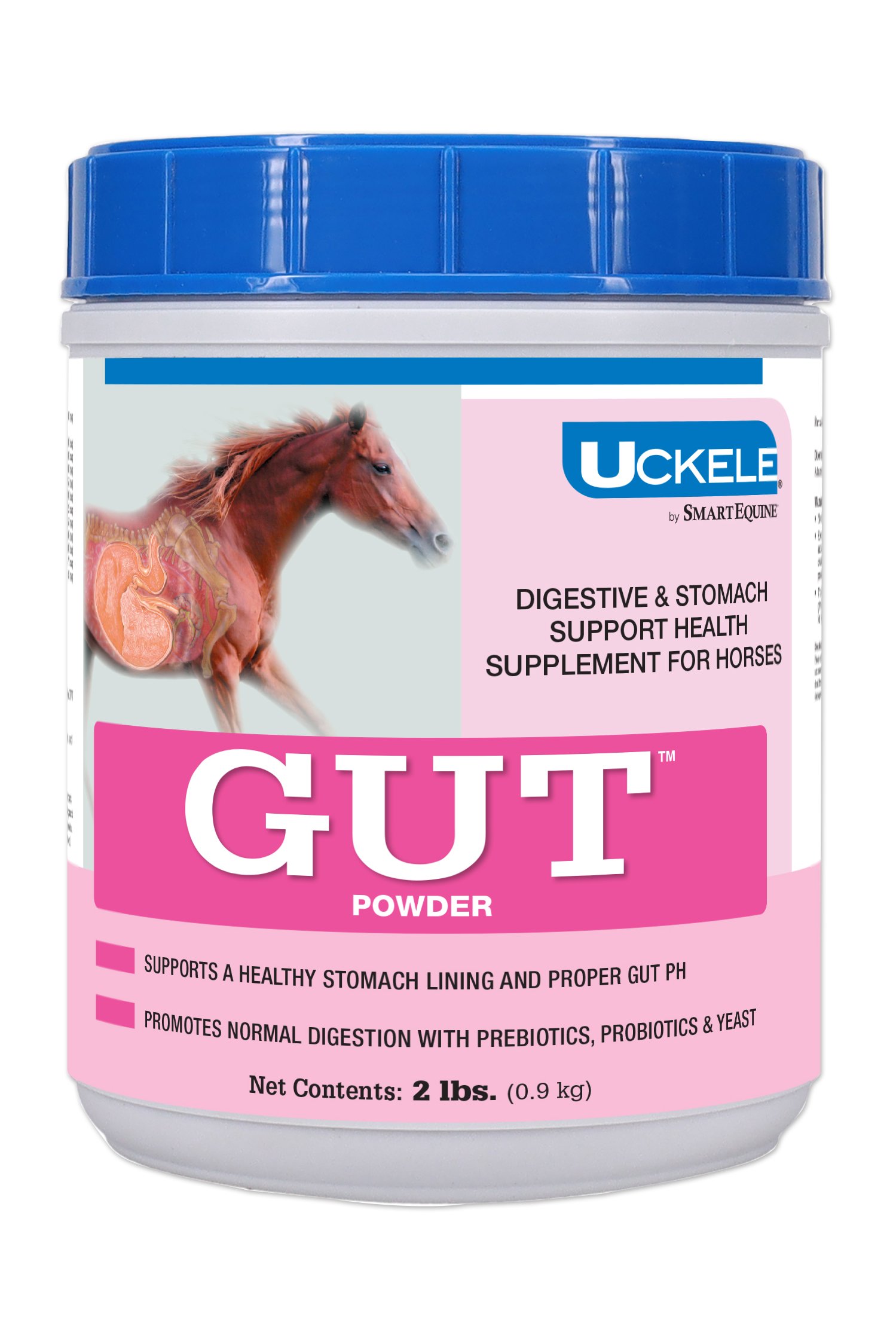 gut-3.jpg