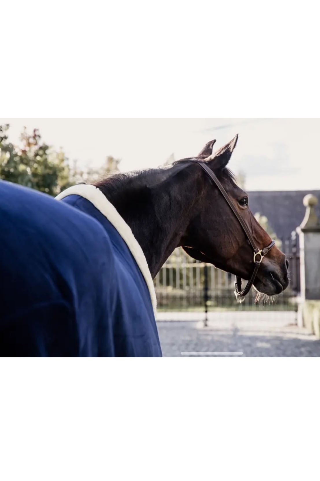 Kentucky Horsewear Heavy Fleece Show Rug In Navy - 2nd Round Equestrian