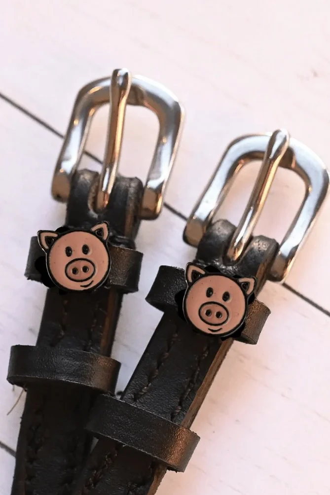 pig.jpg