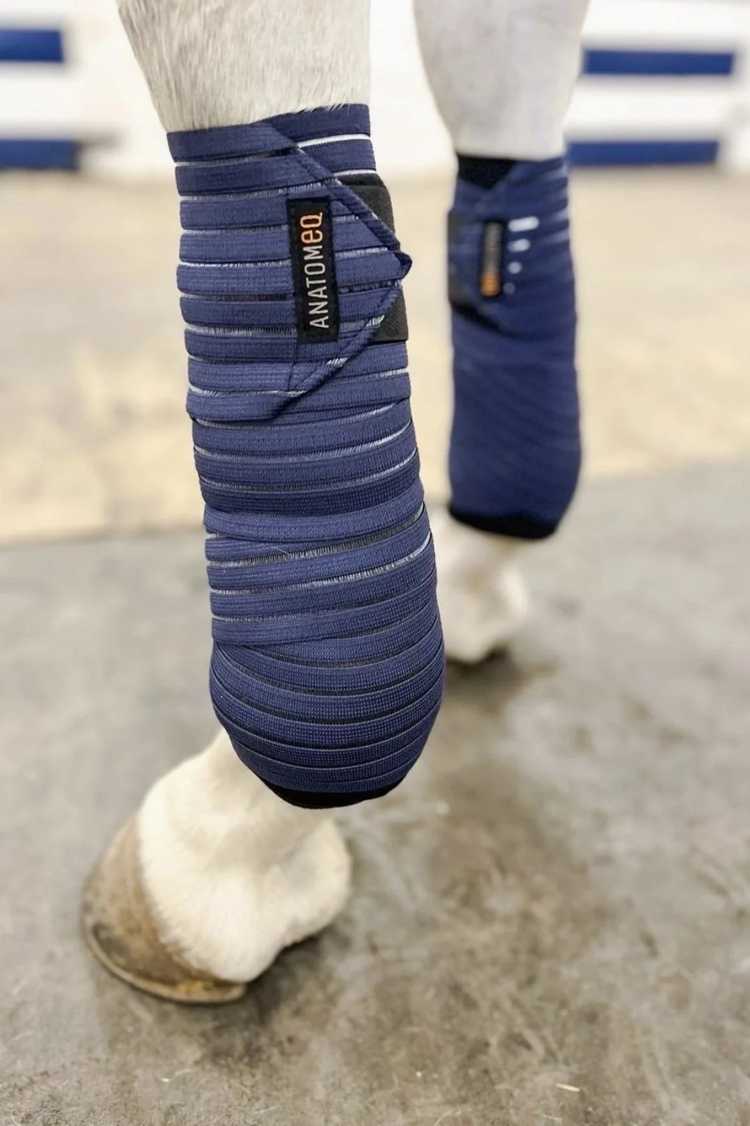 Anatomeq Equinewear Coolsupport Combi Polos In Navy