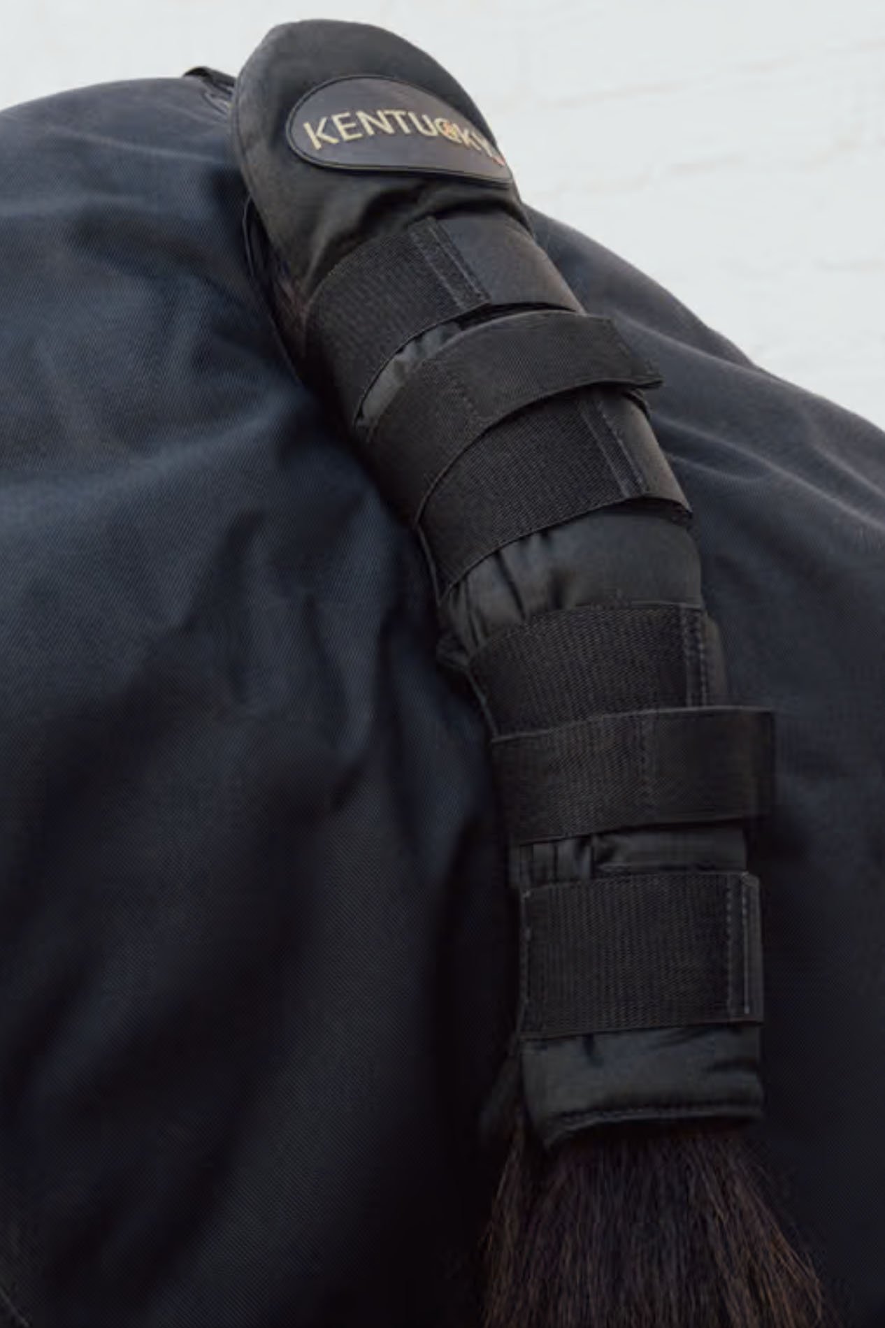 Kentucky Tail Guard Pro In Black - 2nd Round Equestrian