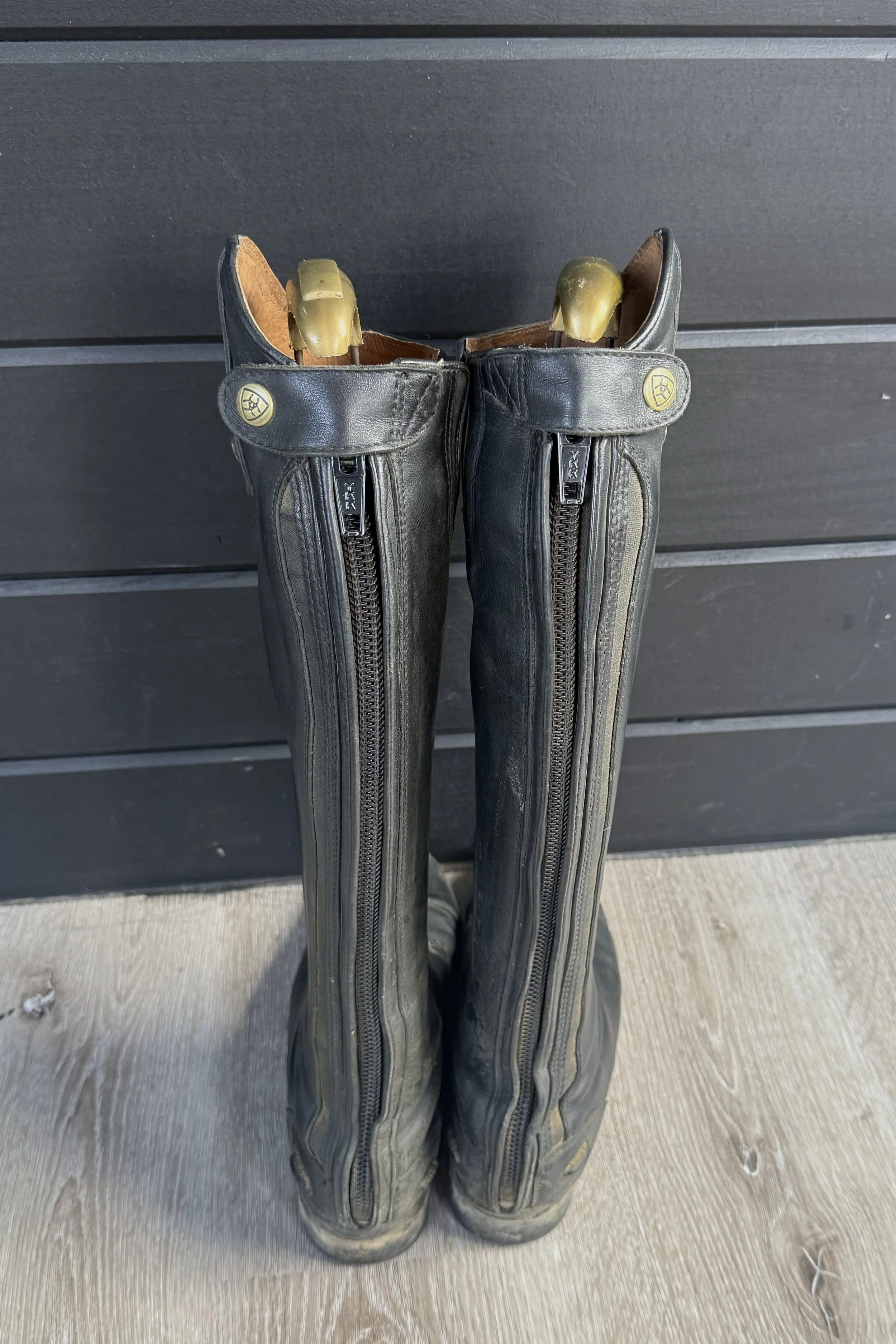 ariat 3.jpg