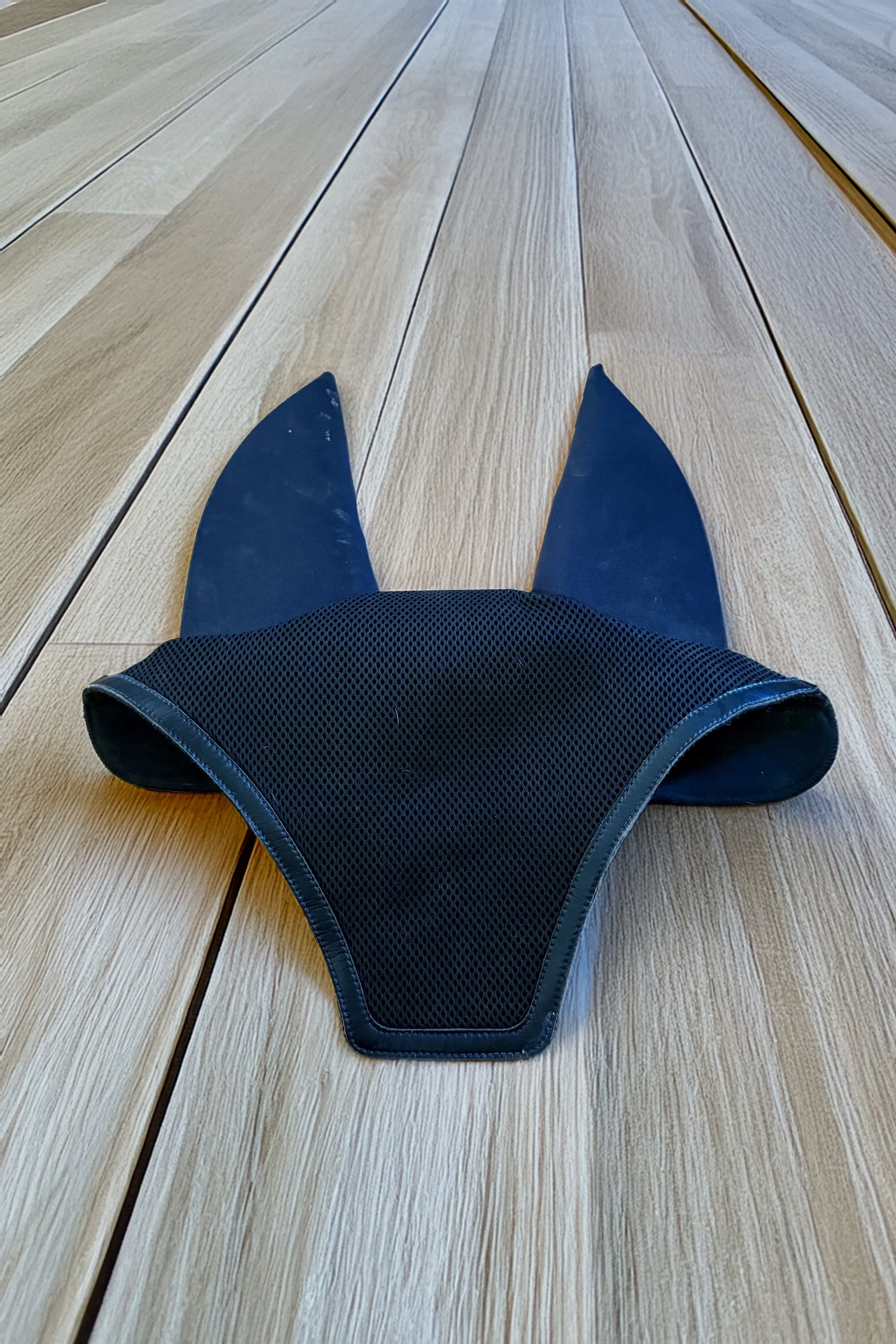 Bonnet+.jpg