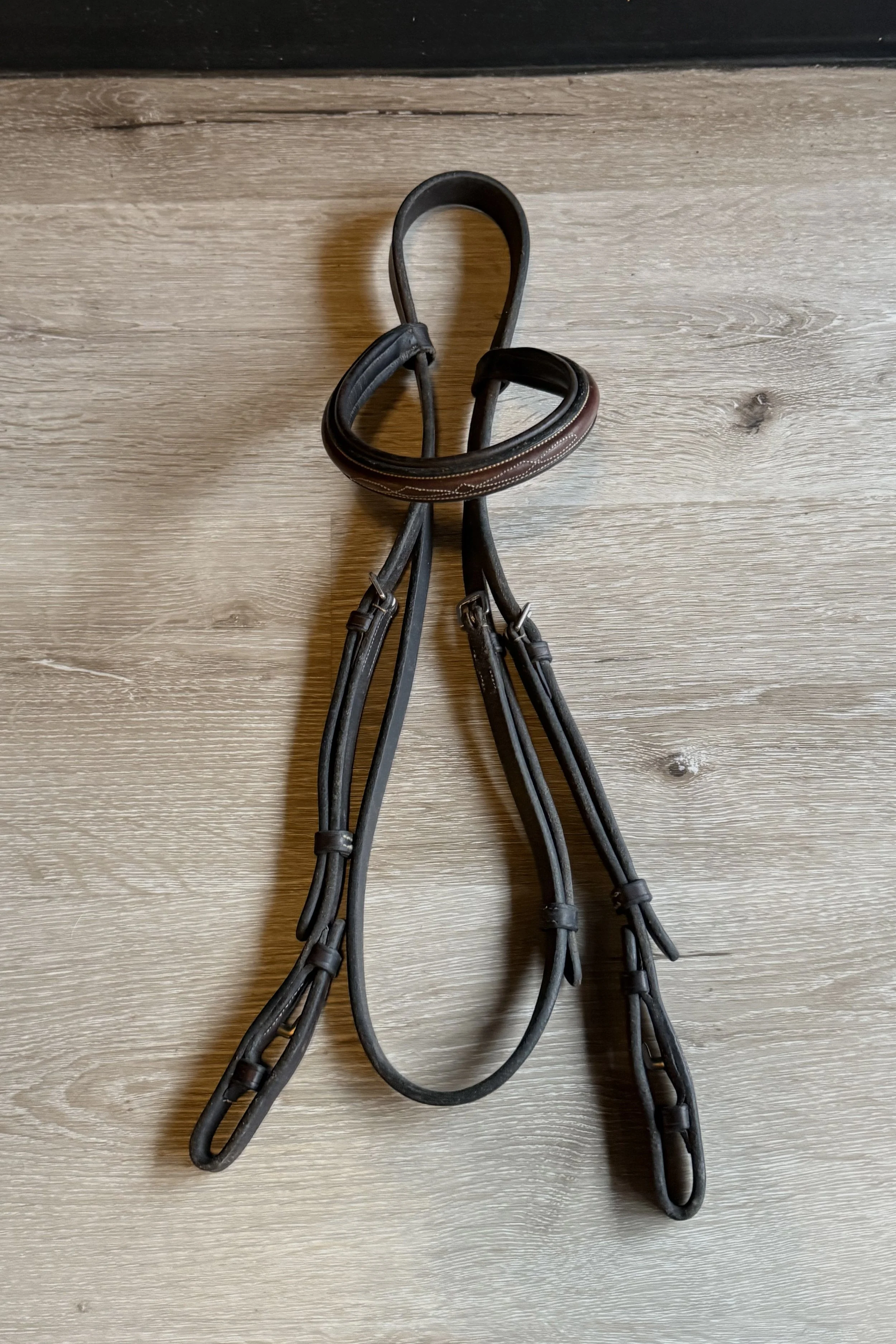 Missing noseband .jpg