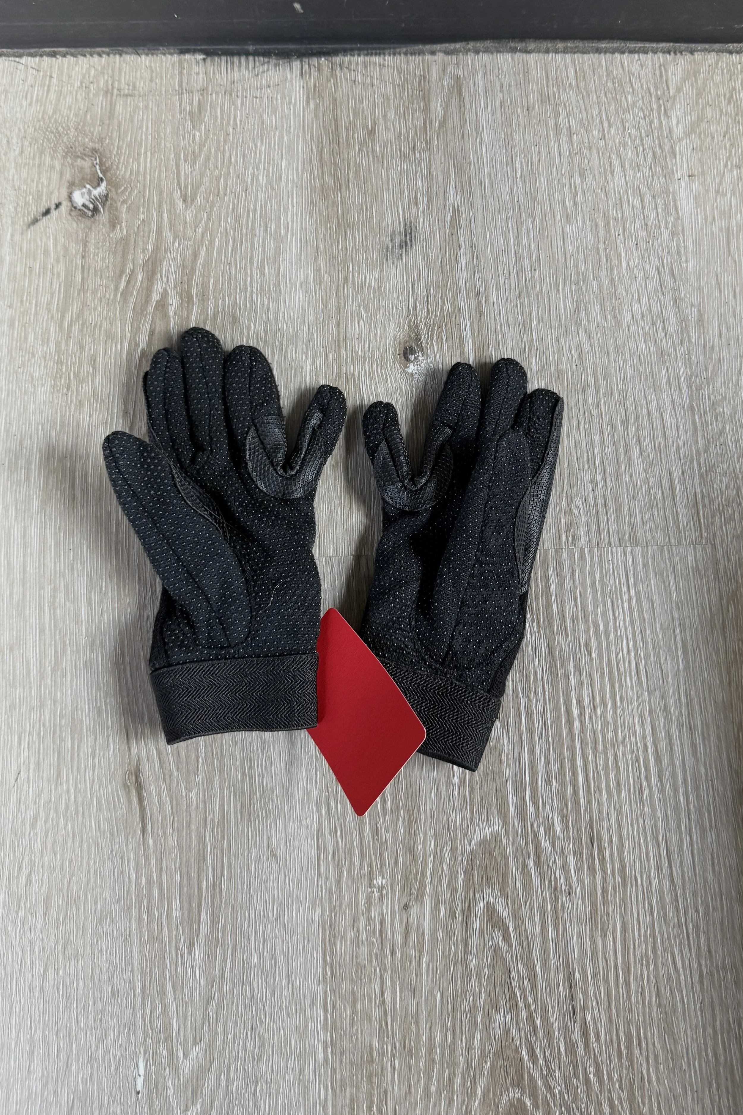 gloves 1.jpg