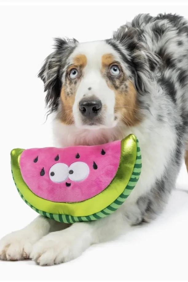 Huxley & Kent Fetchies® Walter Melon Dog Toy