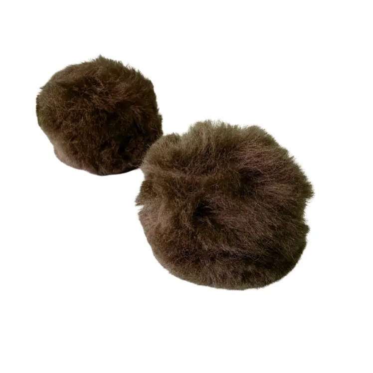 barking brown 2.jpg