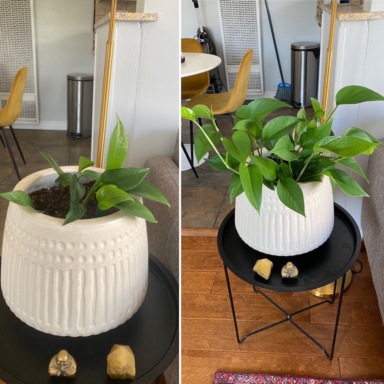 Growing Season!