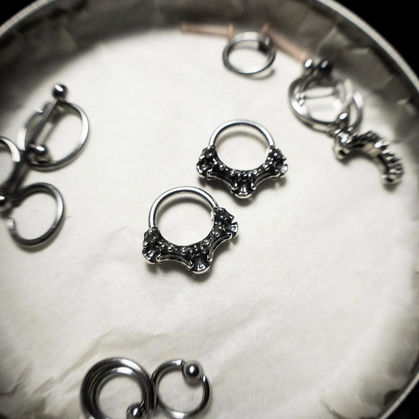 Reupload from story have better photos on the way, septum/lip rings I made surgical steel hoops with sterling captive bead-thing not sure what to call it captive sheath?
.
.
.
.
.

#snakebites #piercings #lippiercing #goth #silver #alternative #pierc
