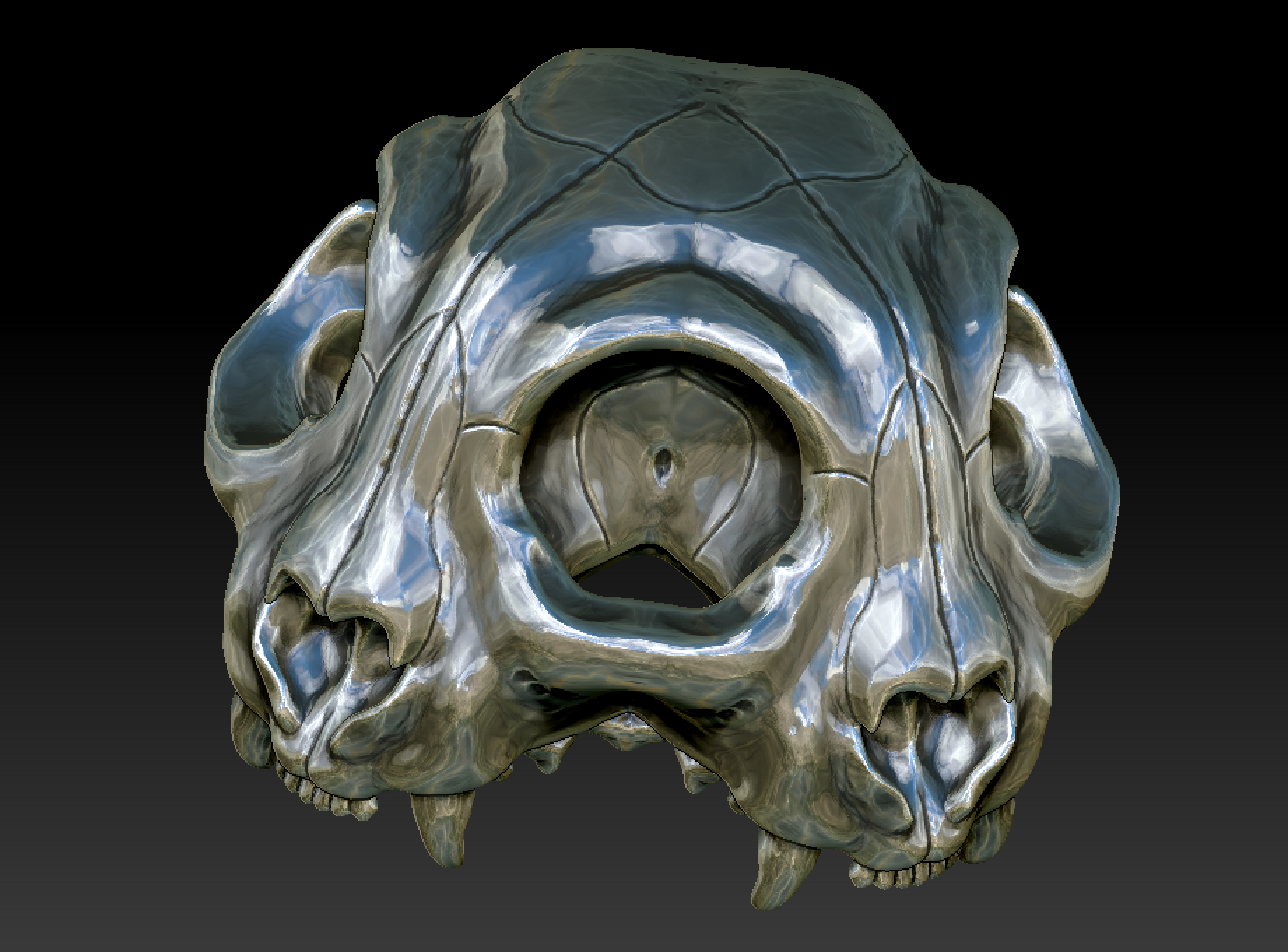 Siamese conjoined cat skull, Zbrush anatomical practice, 2020  