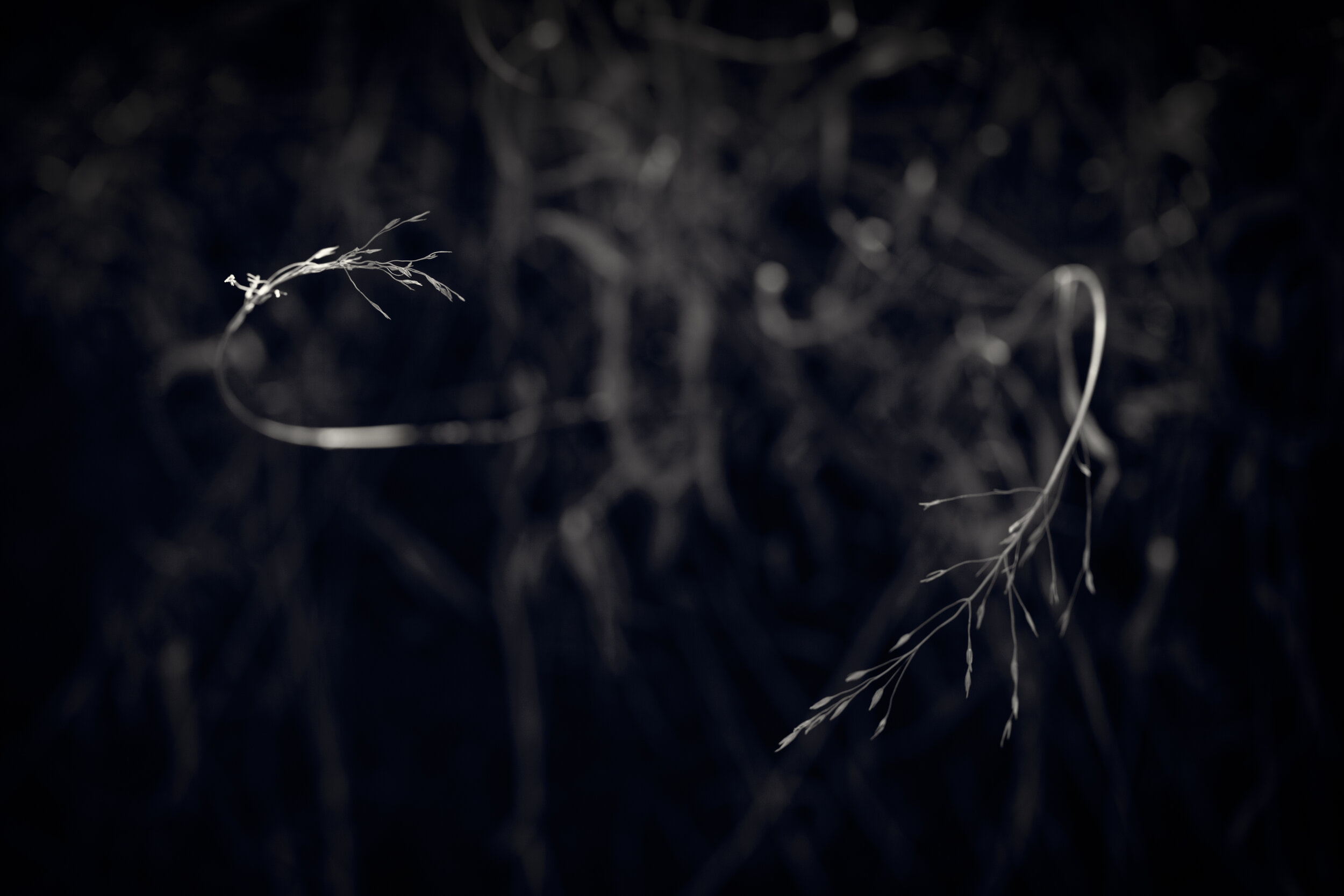 CP-0220-222-Edit.jpg