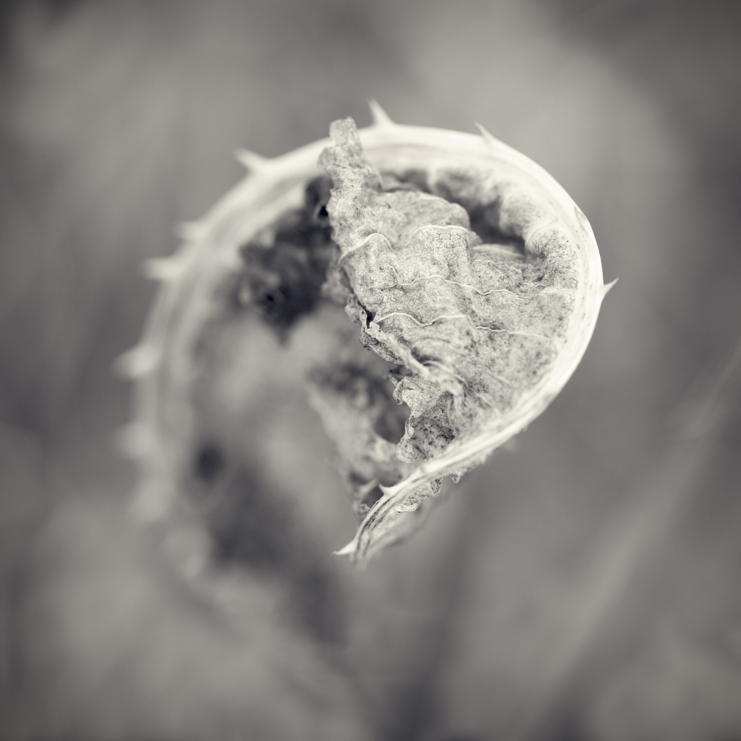 FH-0306-004-Edit-Edit.jpg