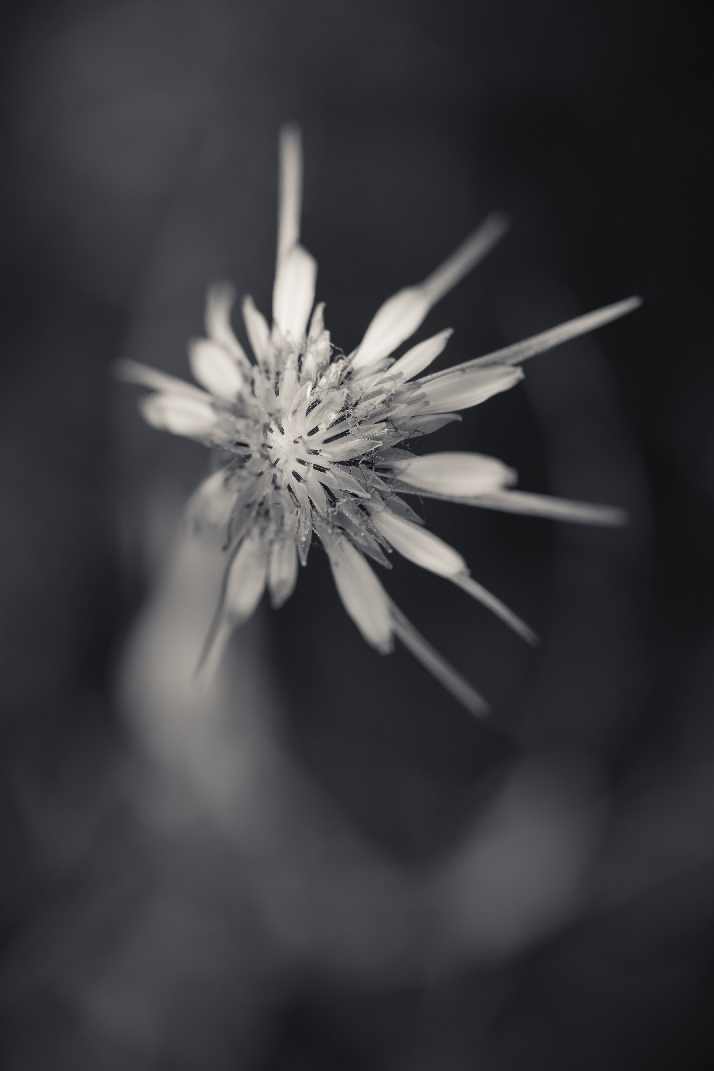 CQ-0609-234.jpg