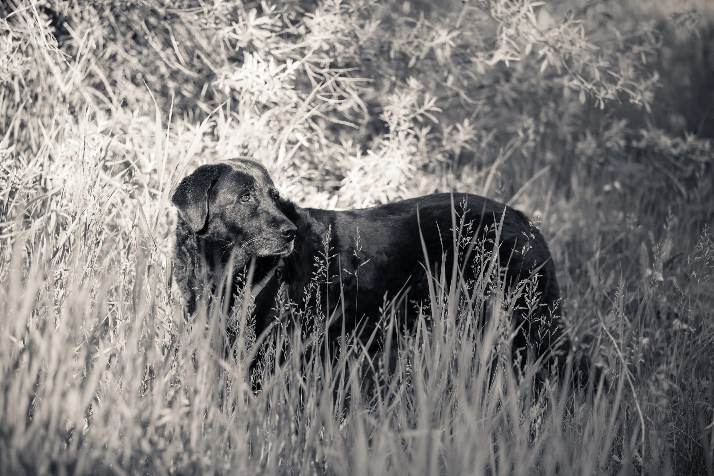 Sully21-124-Edit.jpg