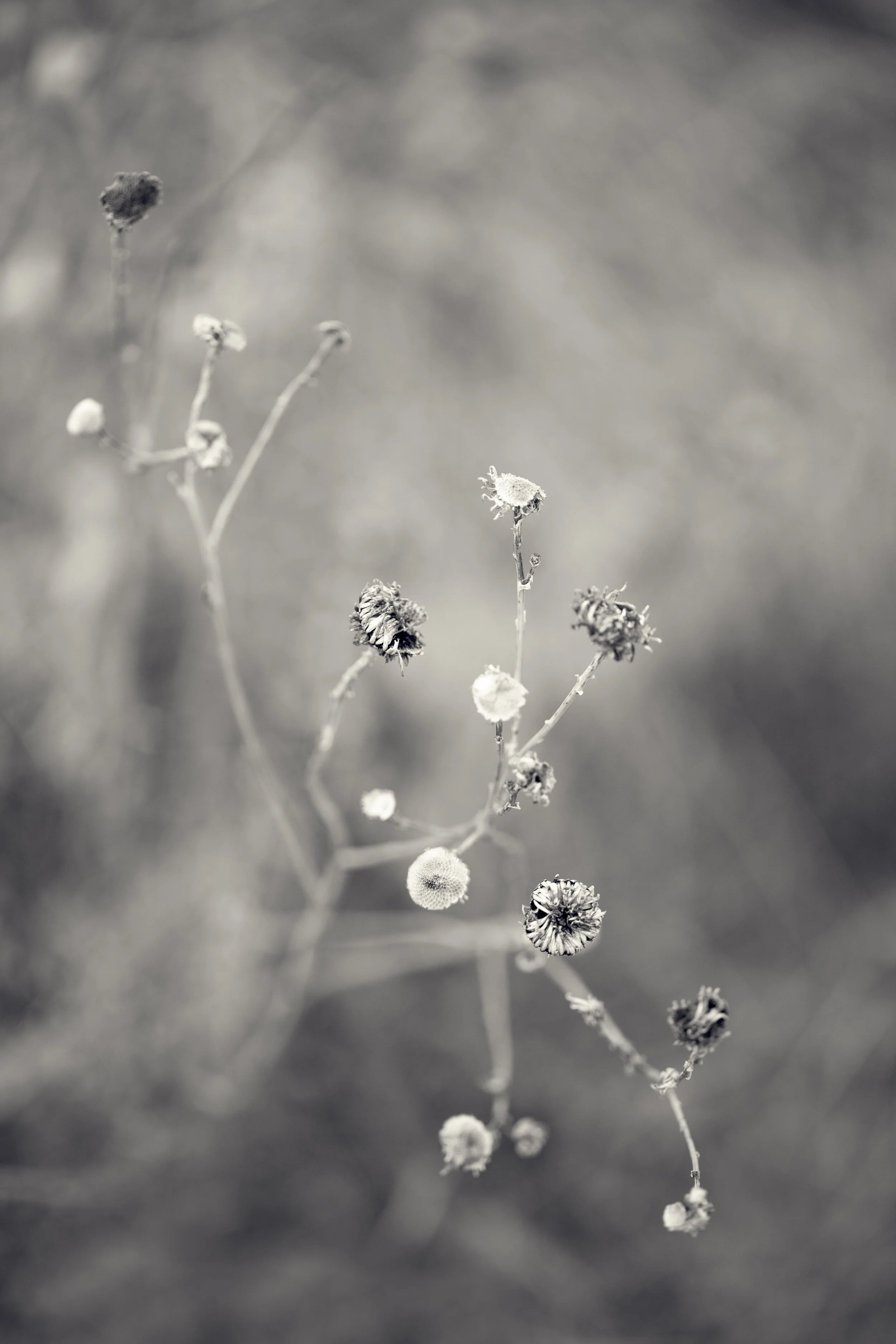 FH-0306-063-Edit.jpg
