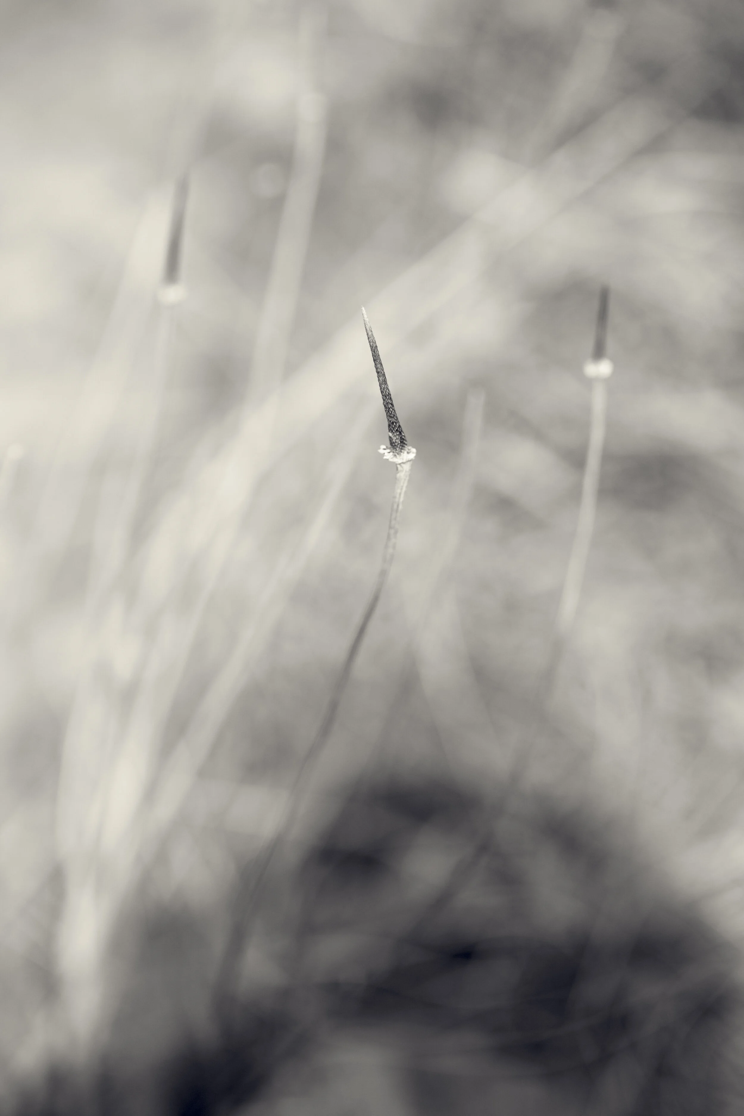 FH-0306-394-Edit.jpg