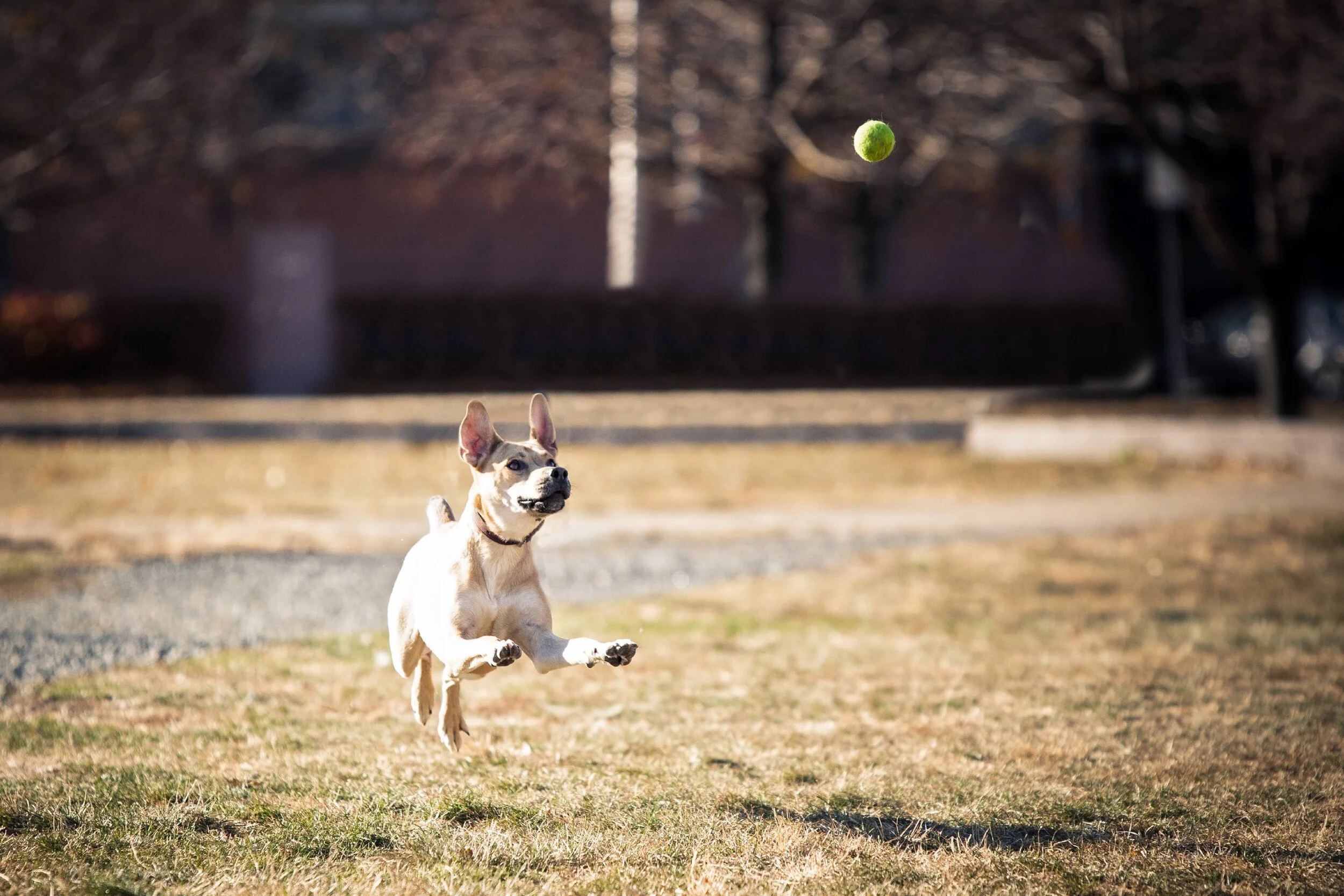 15_20140504165656_5159302_xlarge.jpg