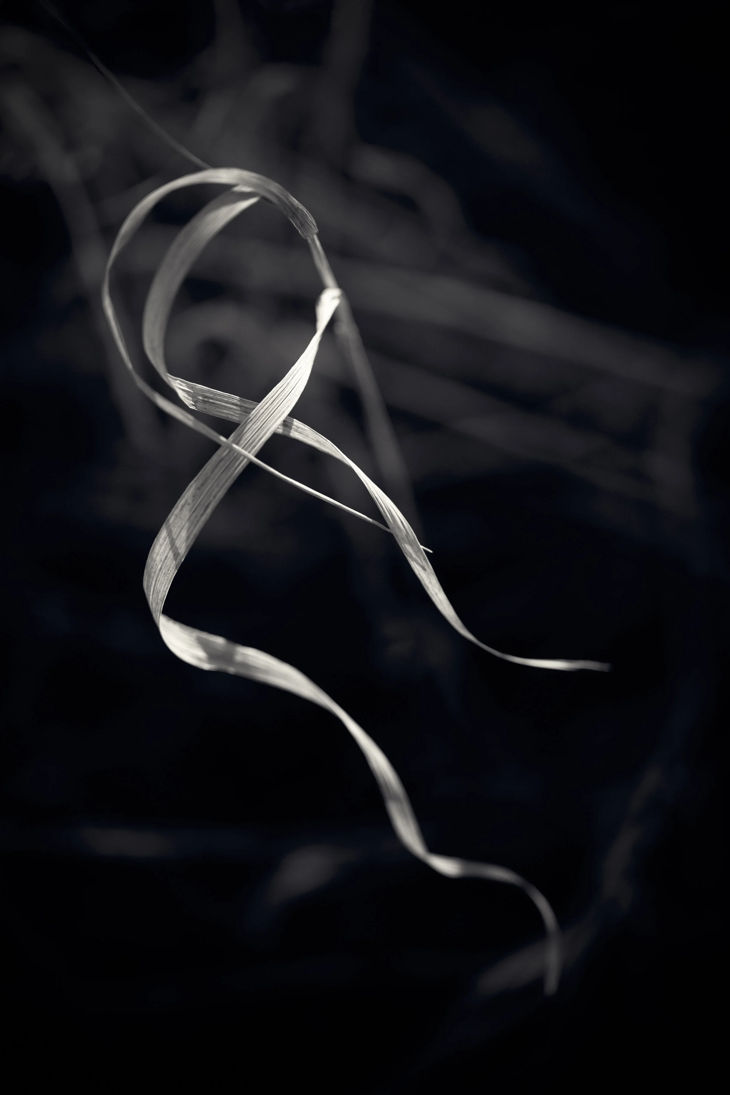 CP-0220-432-Edit.jpg