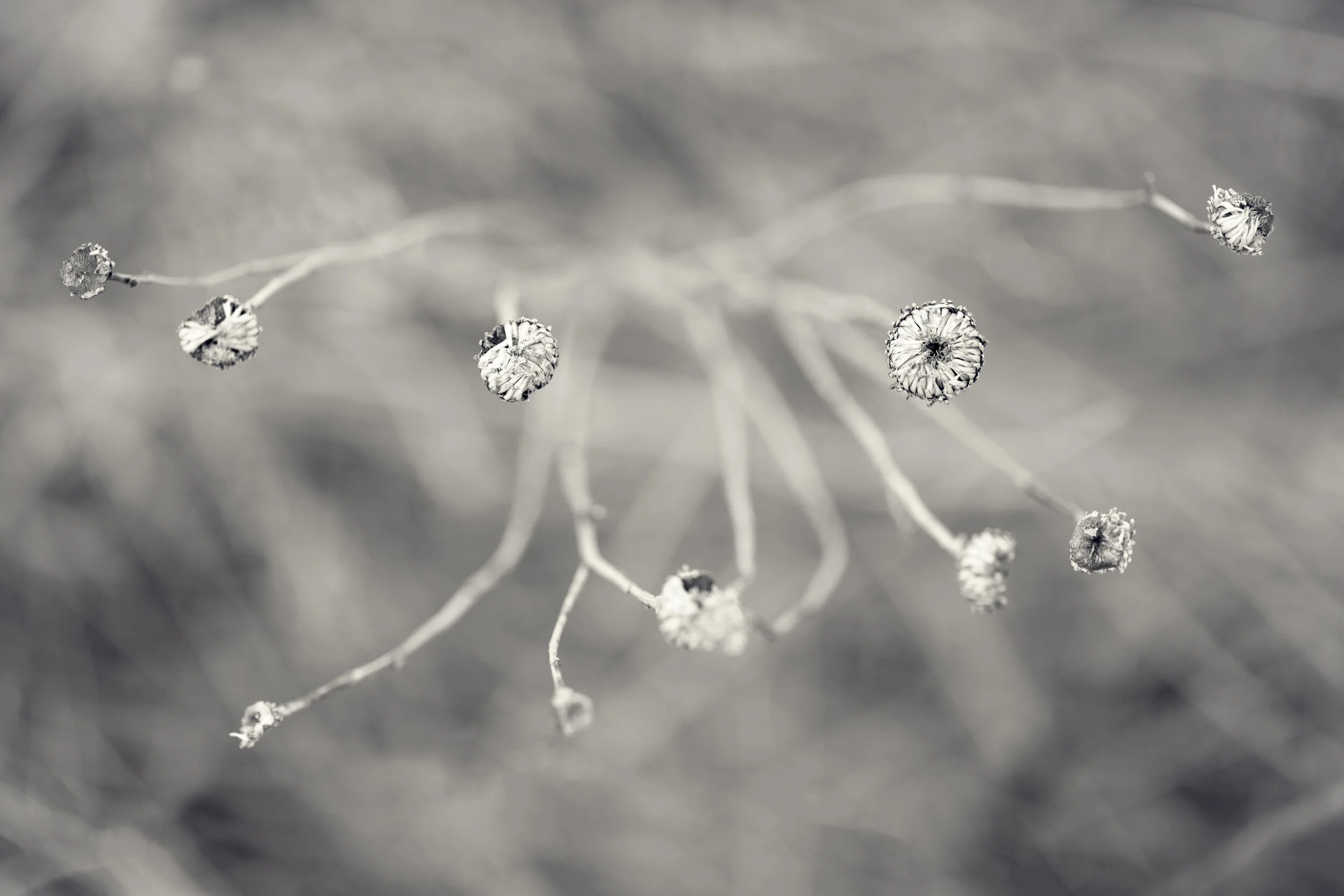 FH-0306-577-Edit.jpg