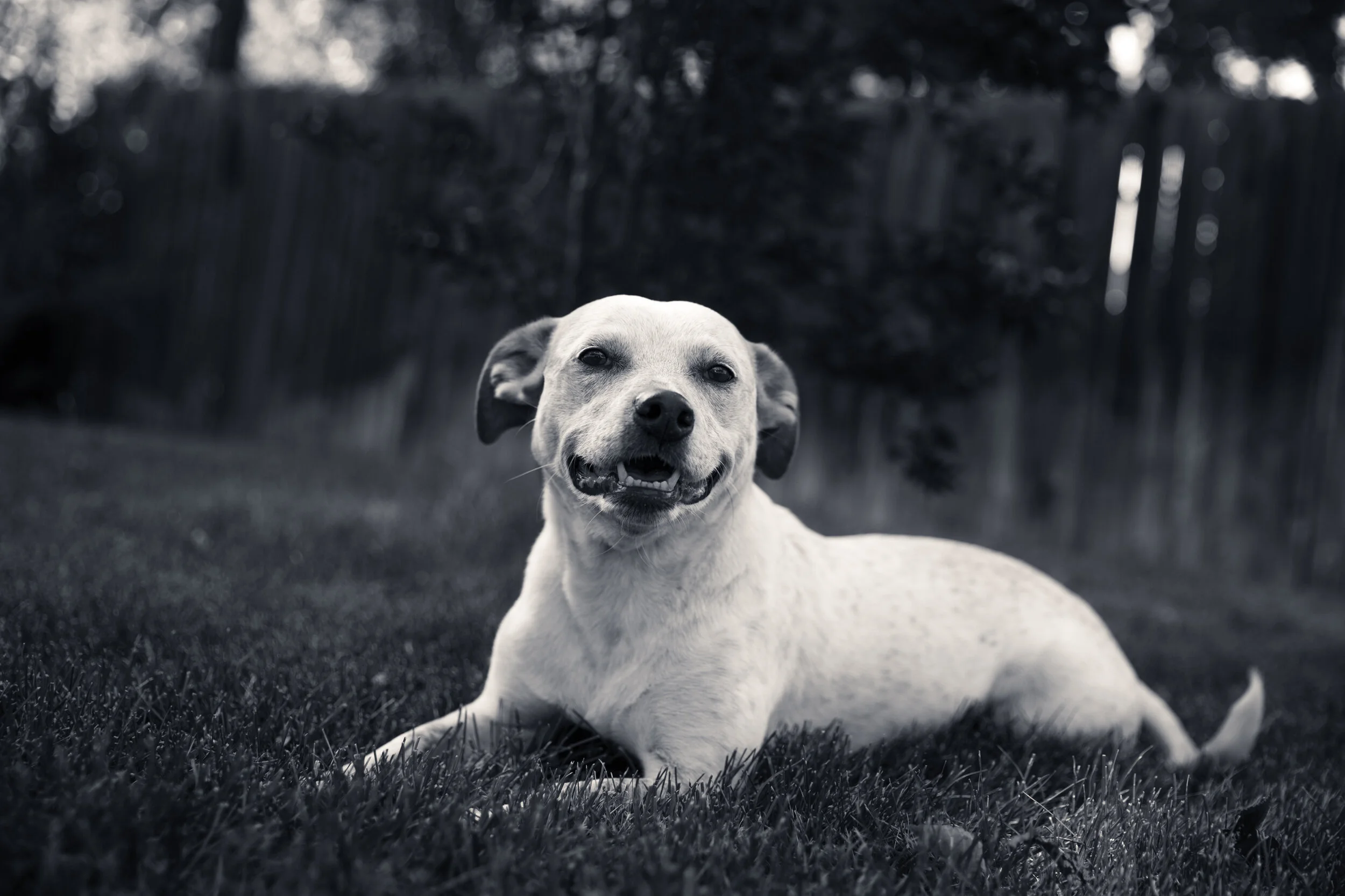 Charlie-551-Edit.jpg
