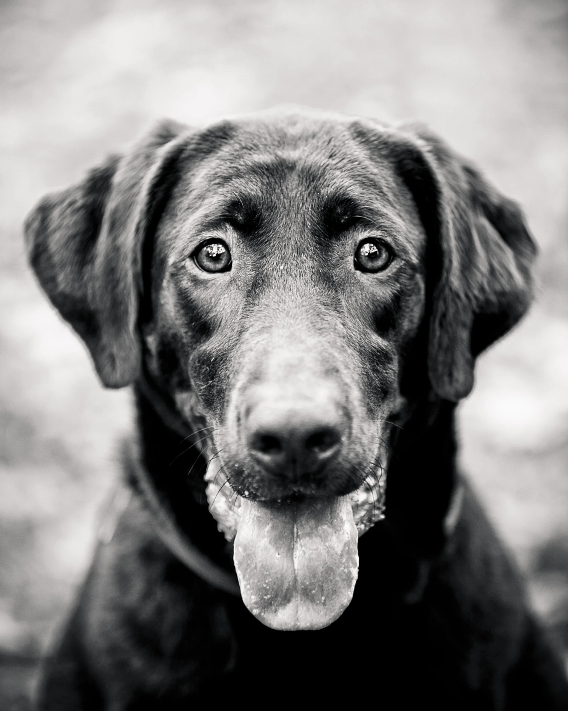 SSR-1021-074-Edit-Edit-3-Edit.jpg