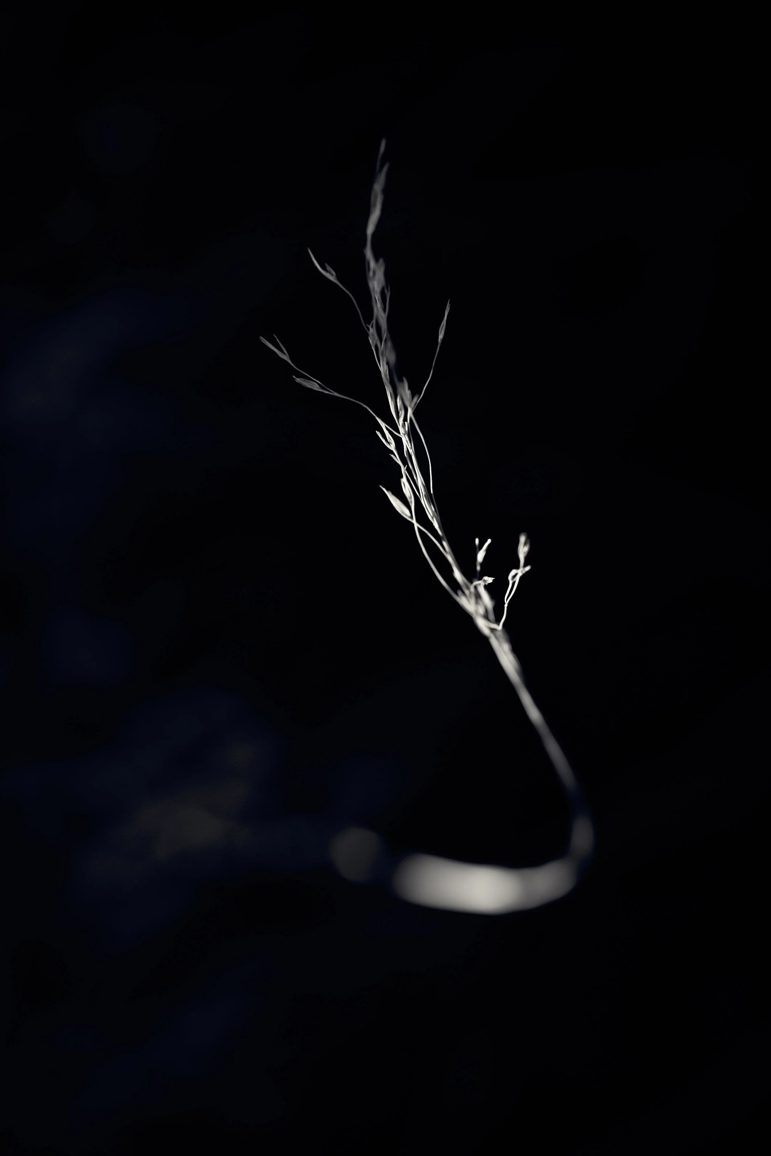 CP-0220-214-Edit.jpg