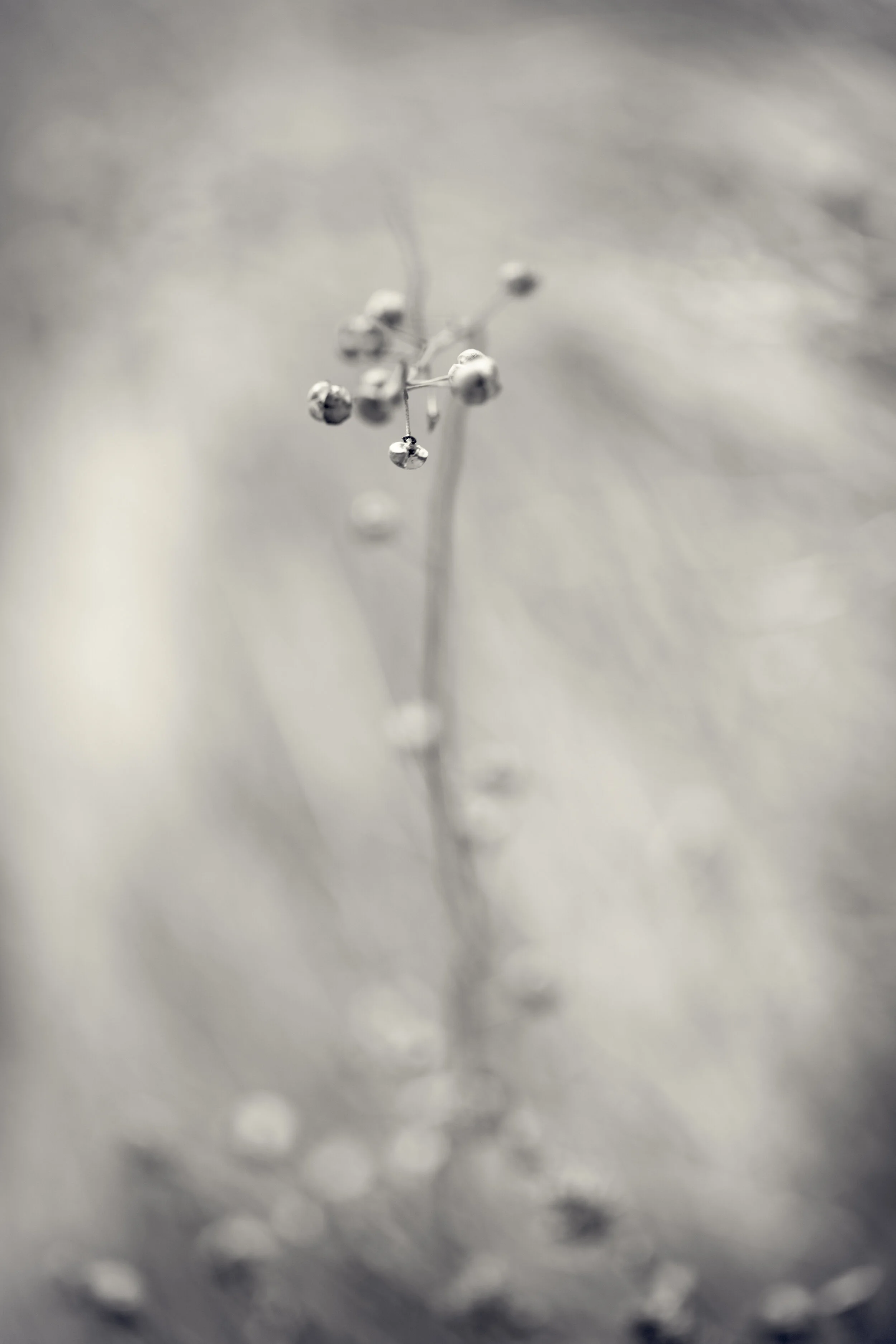FH-0306-202-Edit.jpg