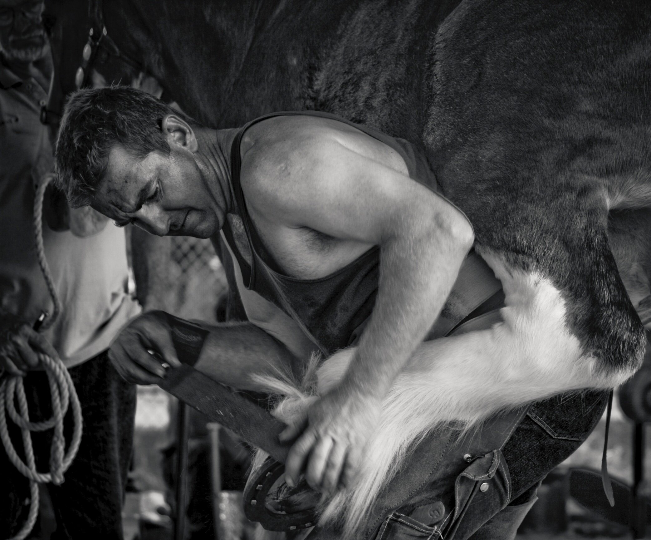 15_20170809172907_6943398_xlarge.jpg