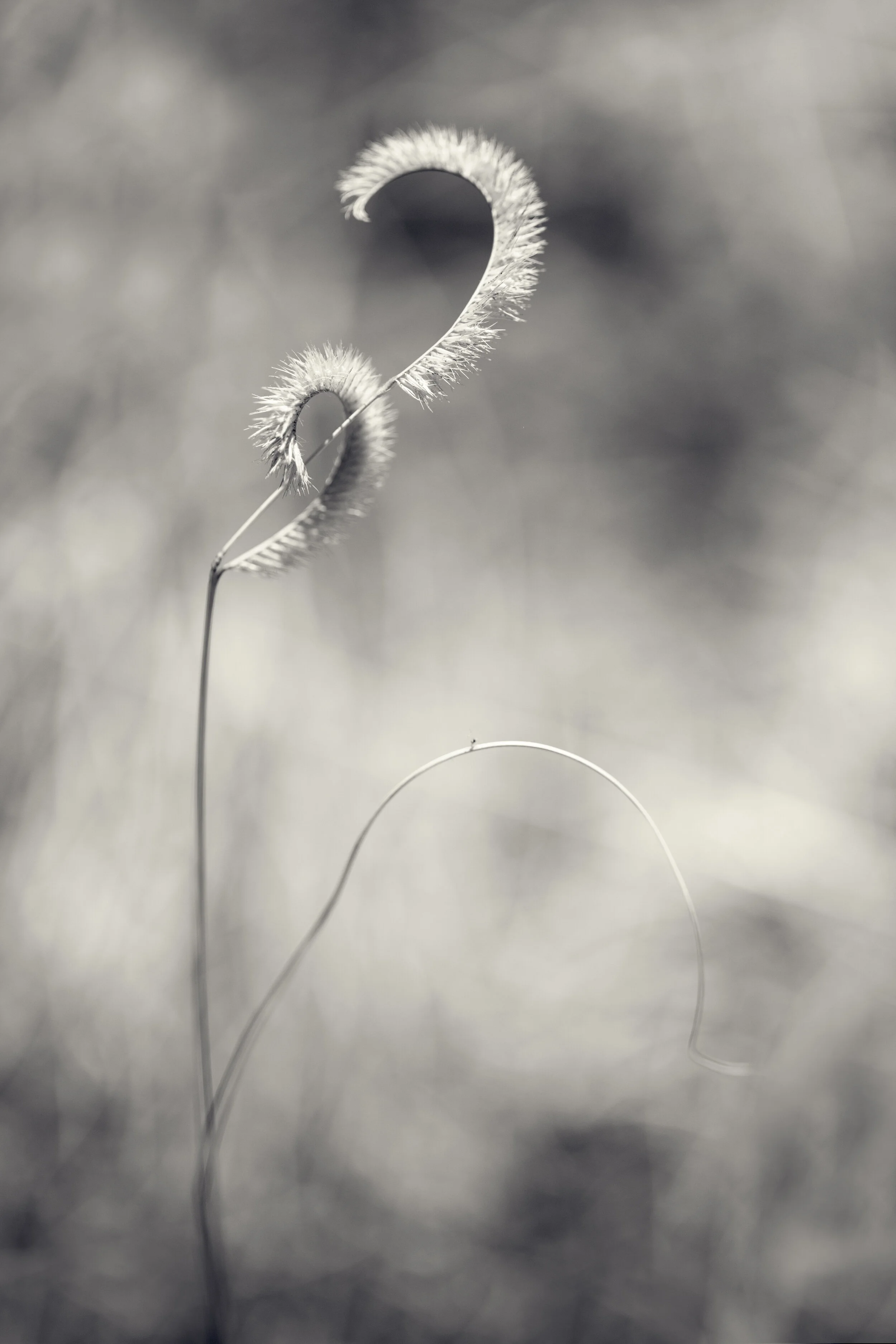 DBG-0323-408-Edit.jpg